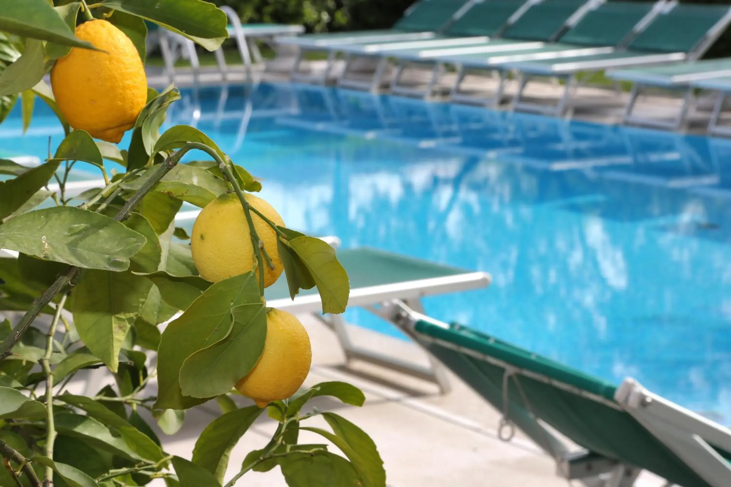 Hotel Al Sole Bardolino Hotel Al Sole Bardolino