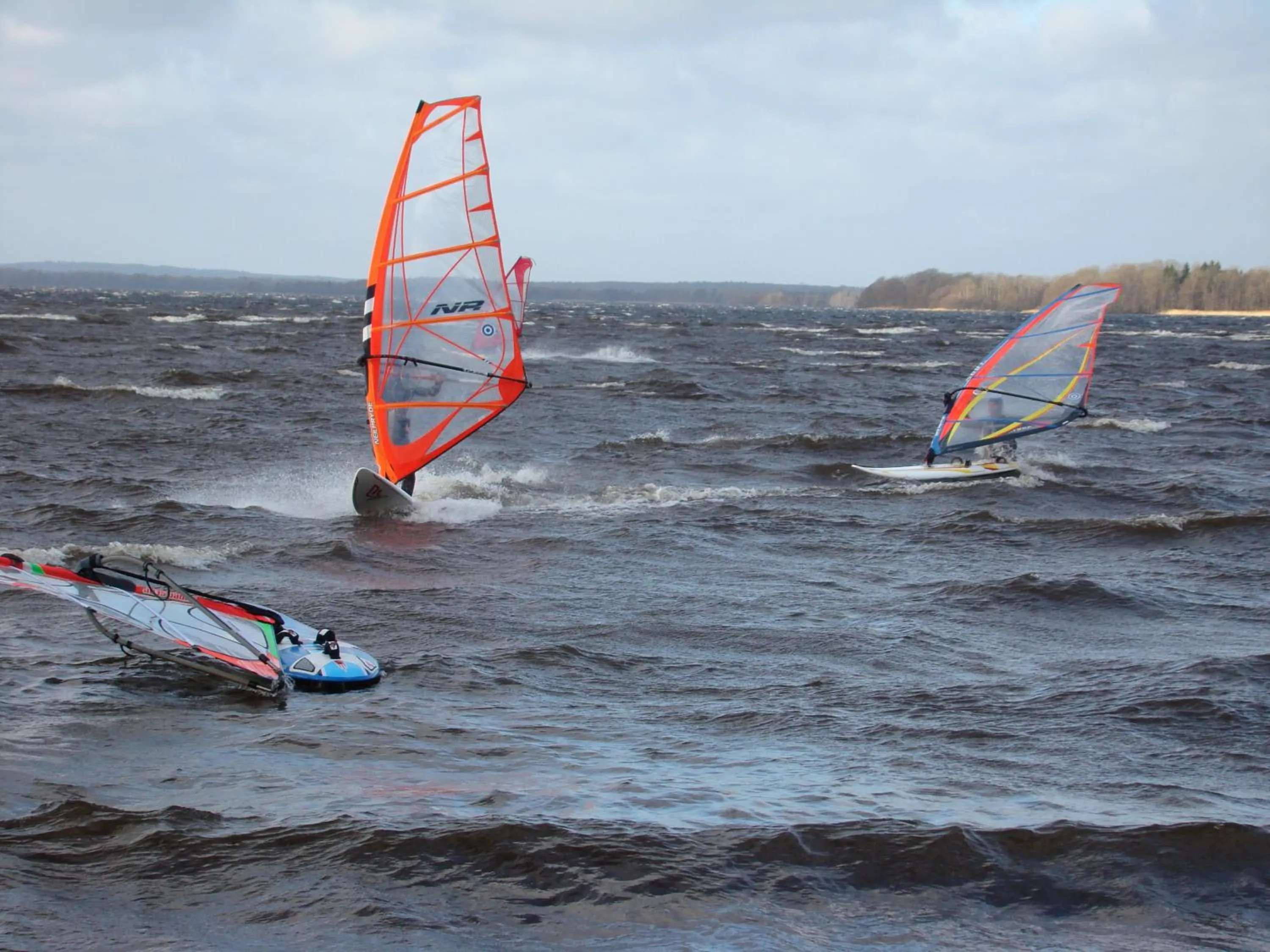 Windsurfing in Bromölla Camping o Vandrarhem