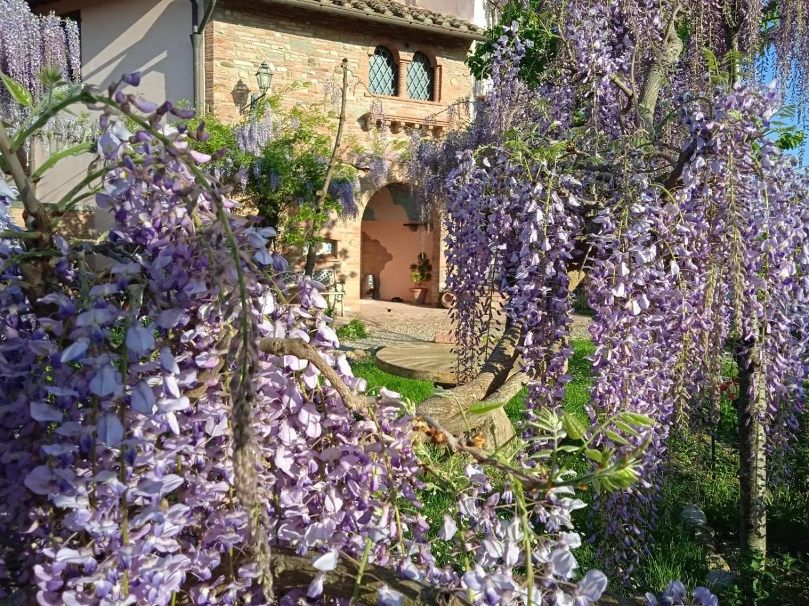 B&B Il Poggetto
