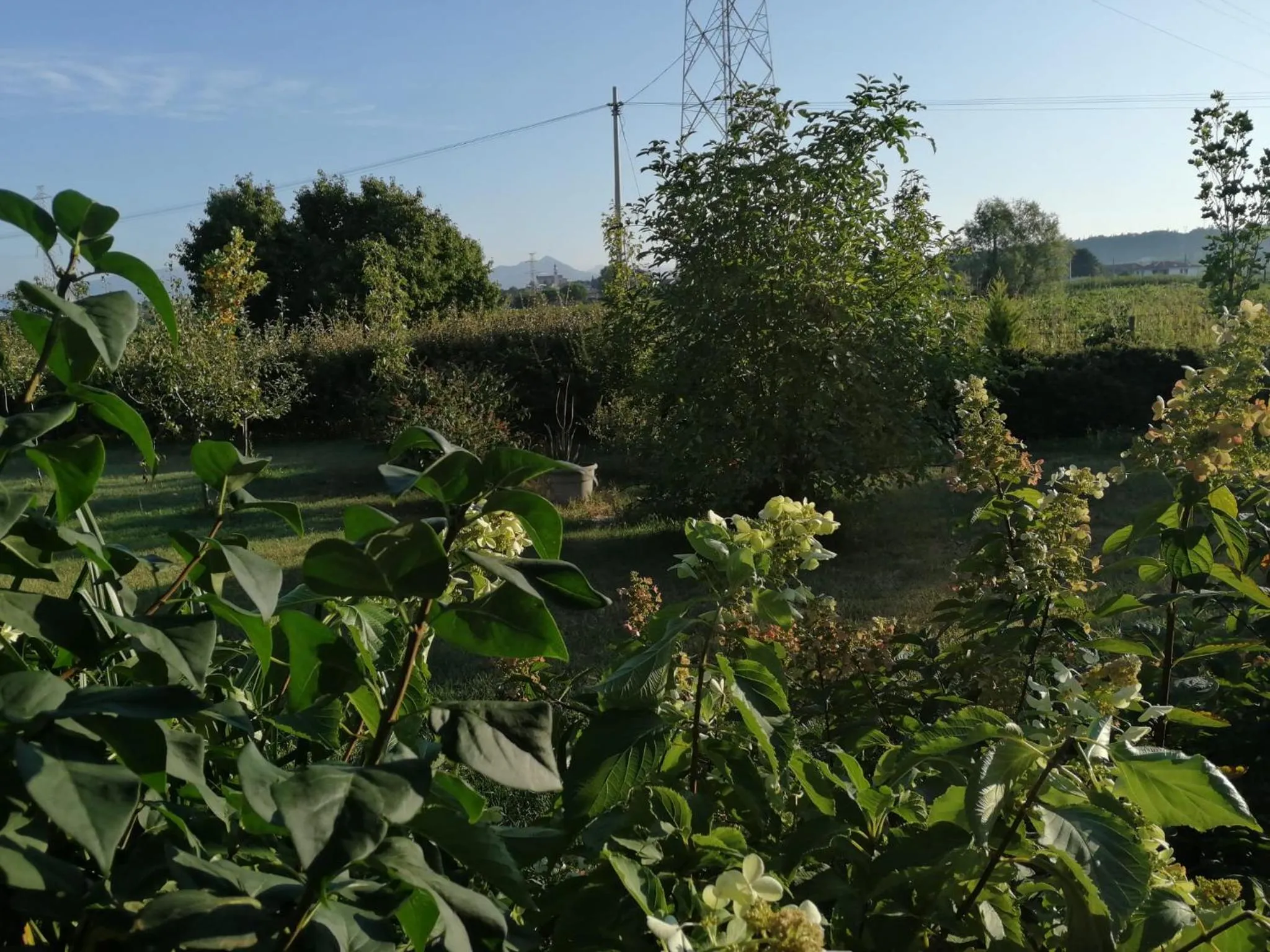 Spring in Ca' Blanca