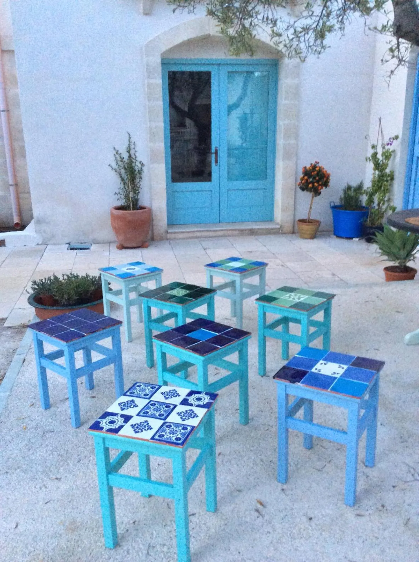 Summer in The Proud Garden