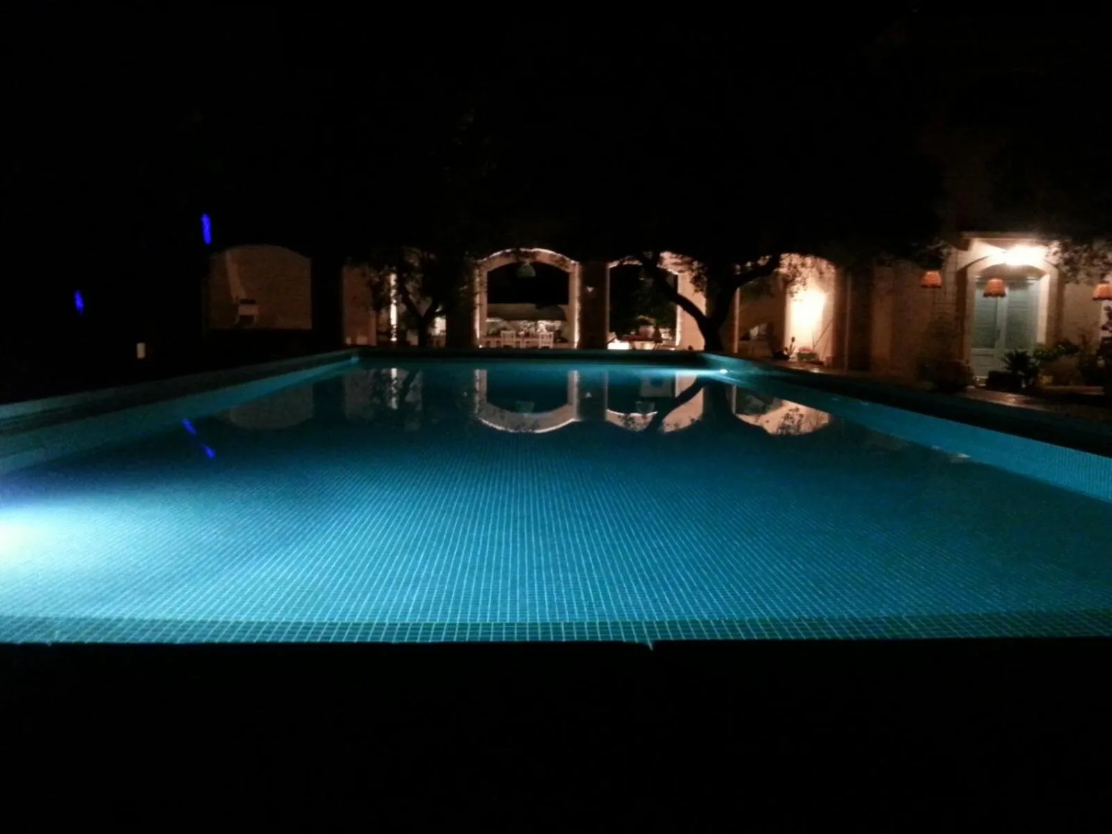 Night in The Proud Garden