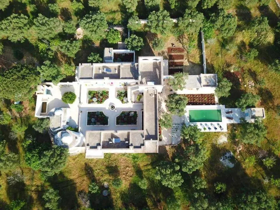 Bird's eye view in The Proud Garden