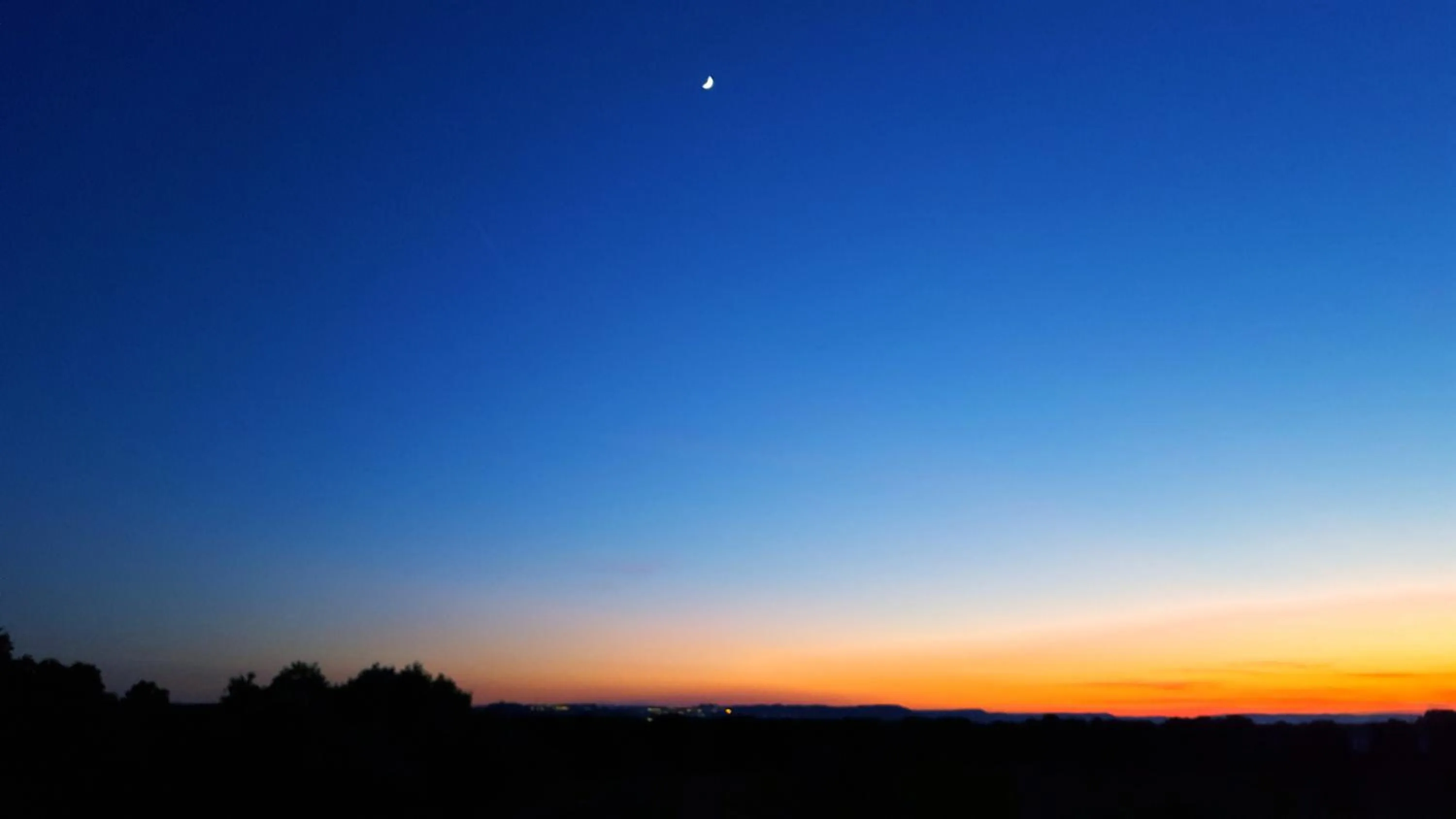 Summer in The Proud Garden