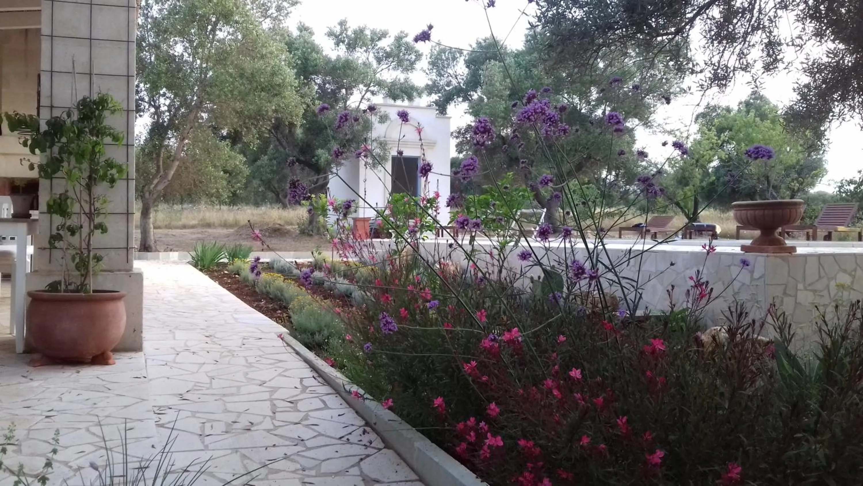 Garden view in The Proud Garden