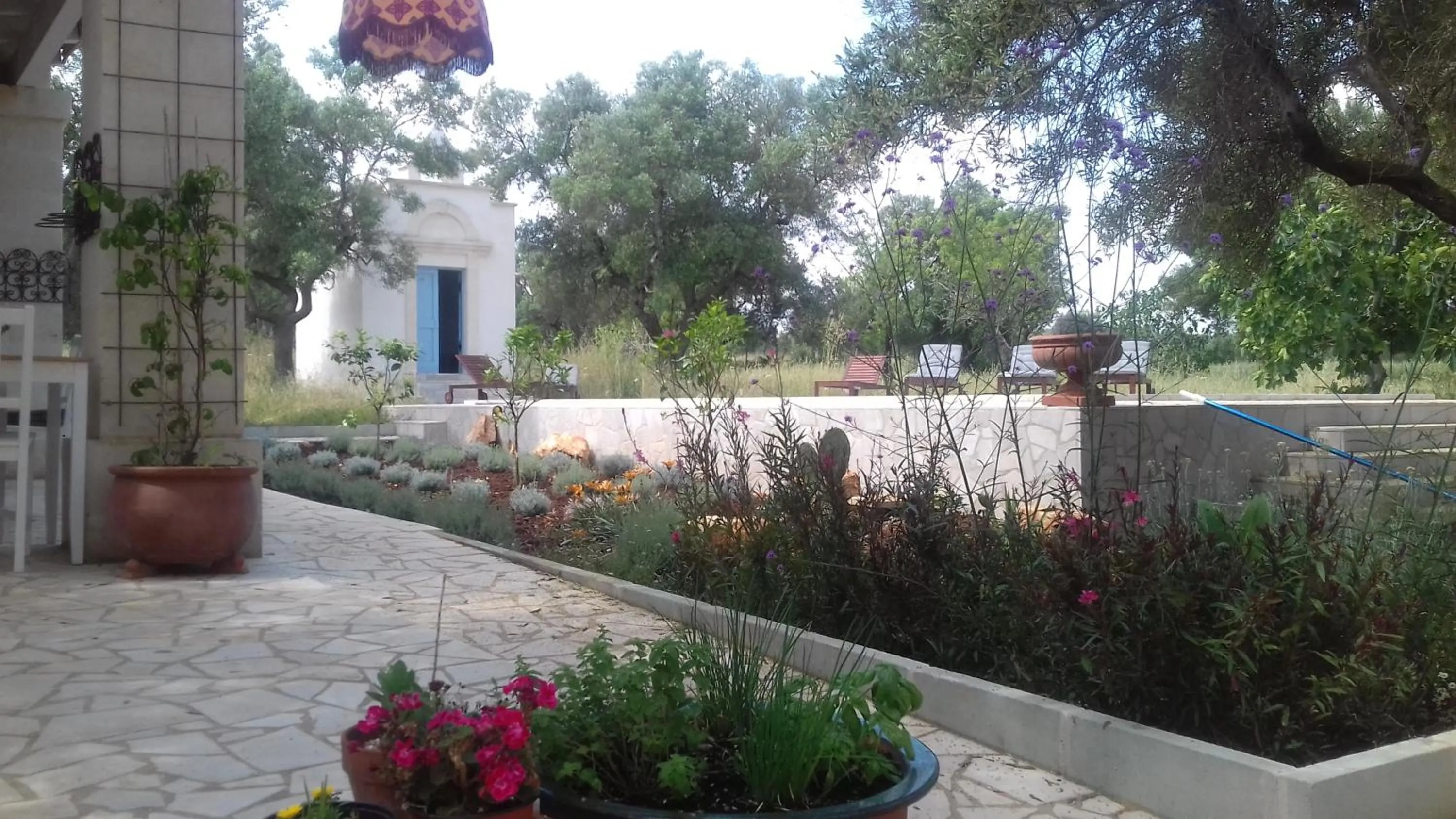 Pool view in The Proud Garden