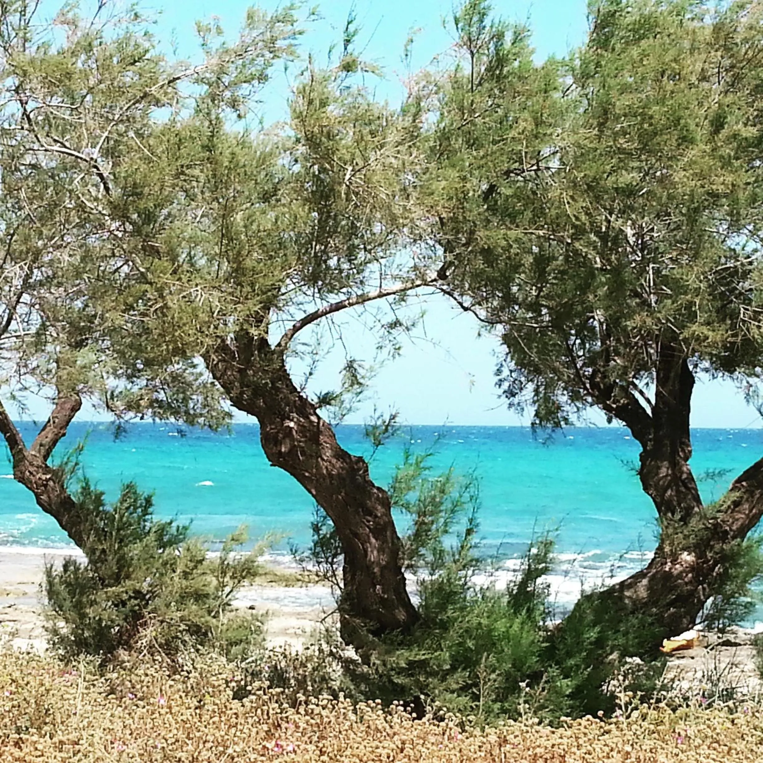 Off site in The Proud Garden