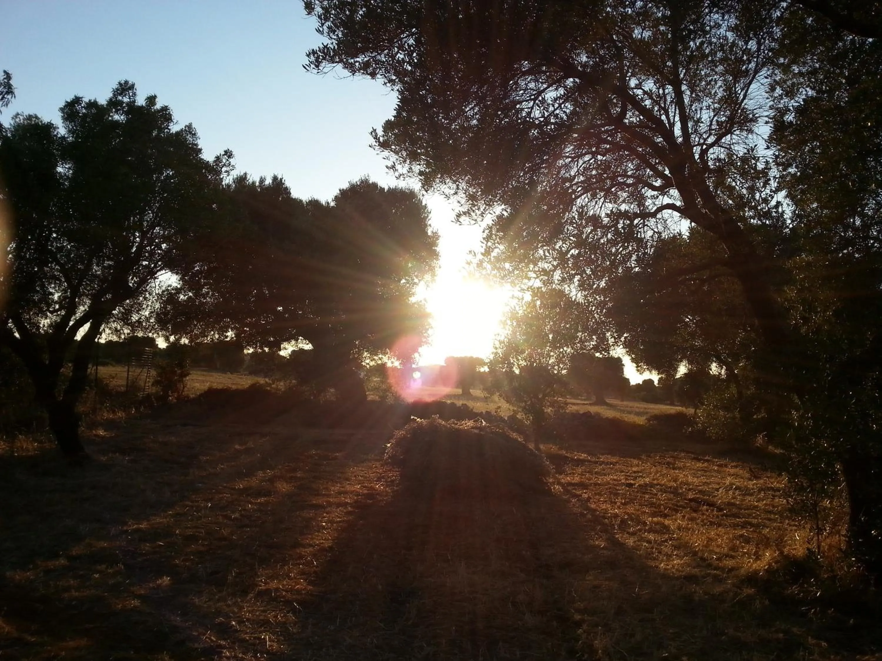 Natural landscape in The Proud Garden