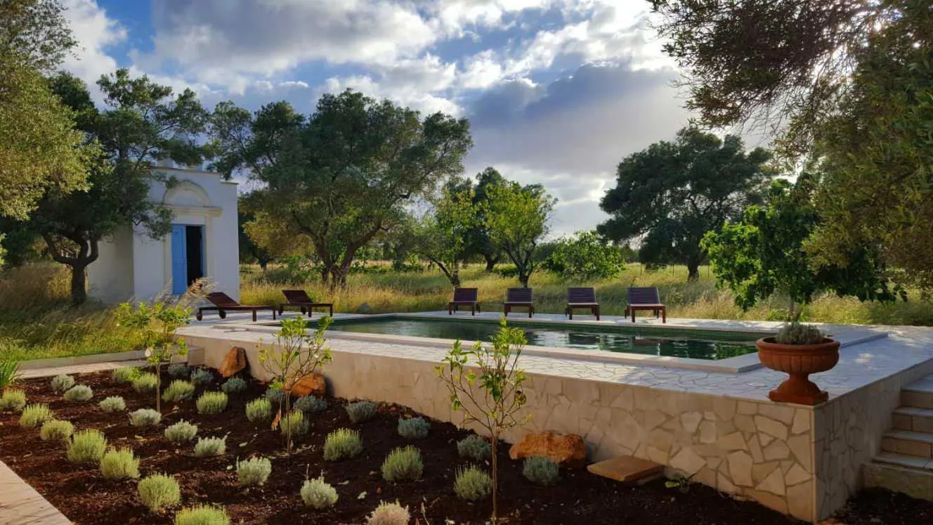 Pool view in The Proud Garden