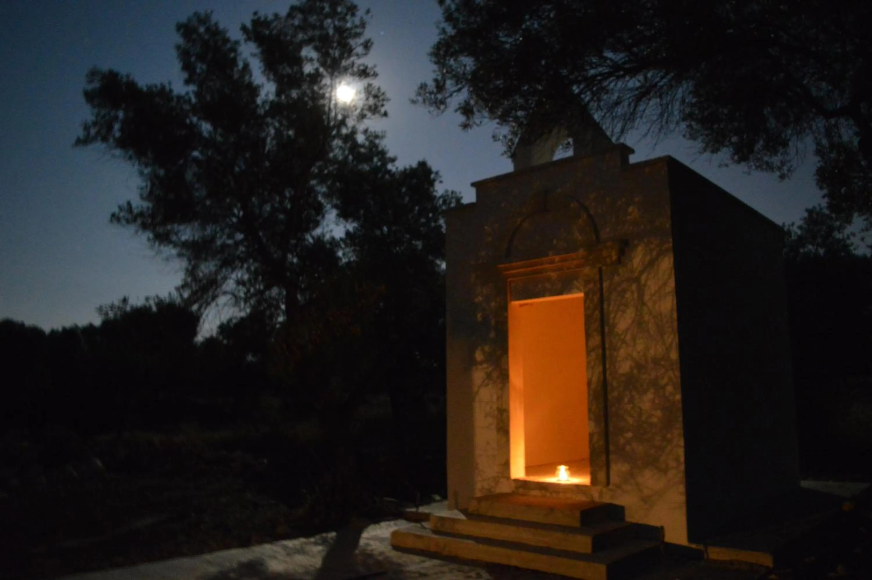 Property building in The Proud Garden