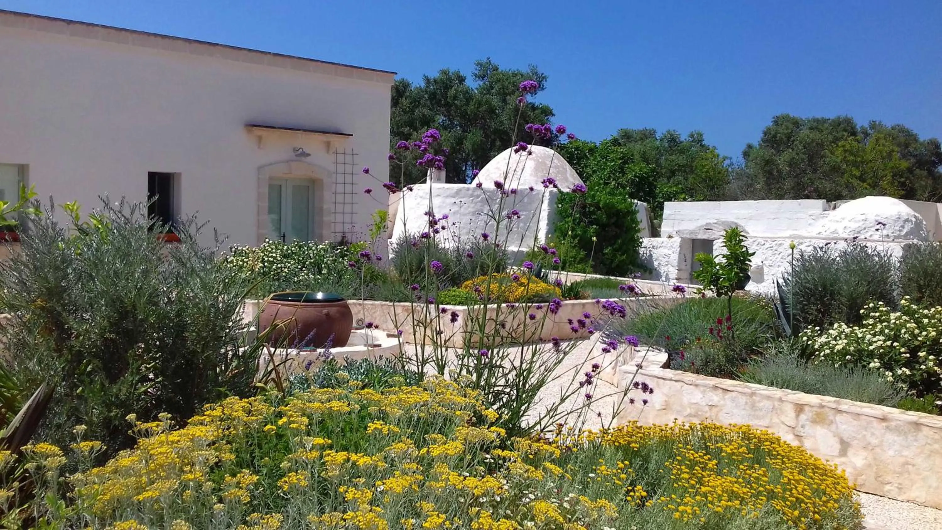 Garden view in The Proud Garden