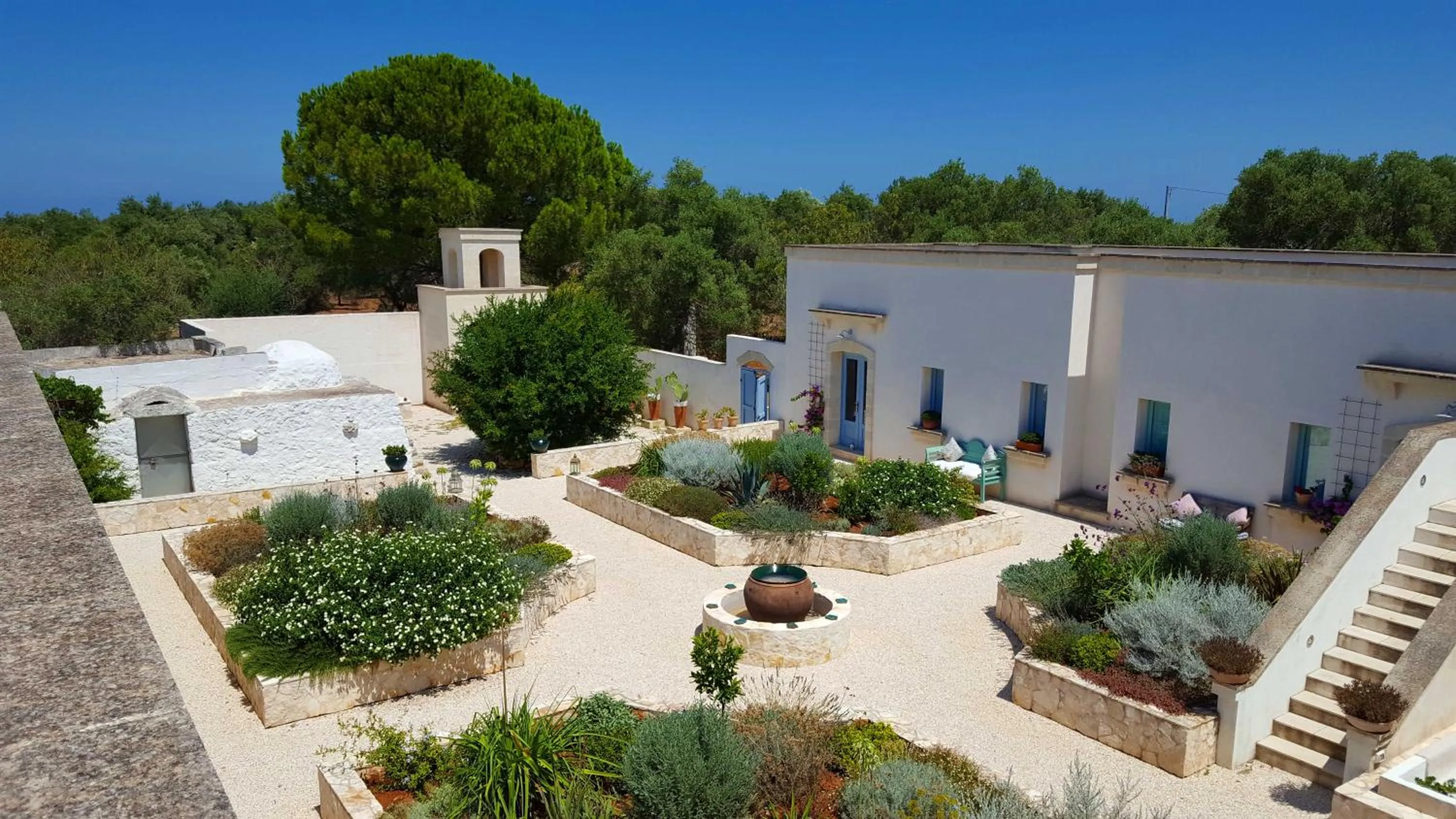 Garden view in The Proud Garden