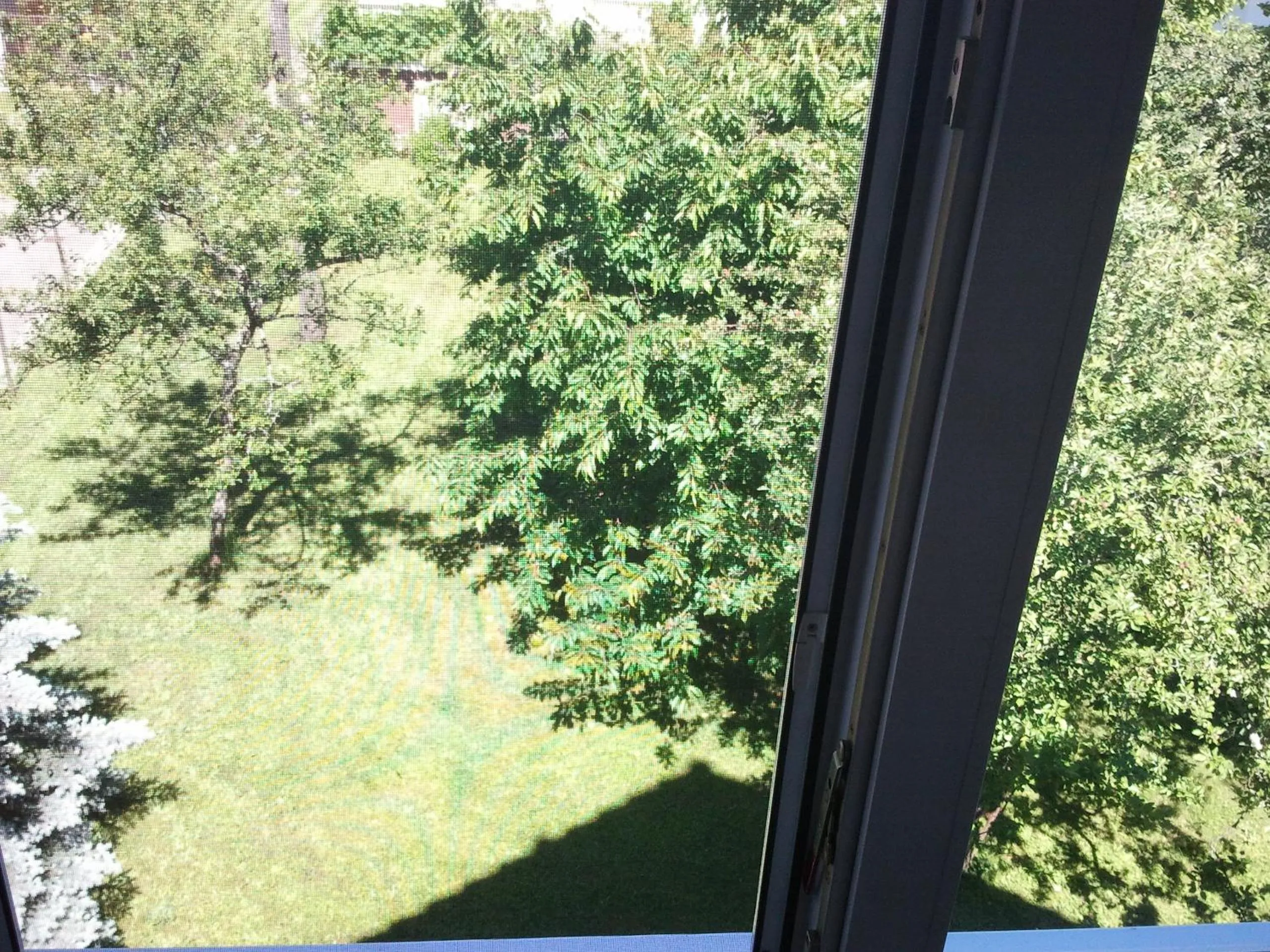 View (from property/room) in Komfort Apartment 1 DG Jürgen Kunzi