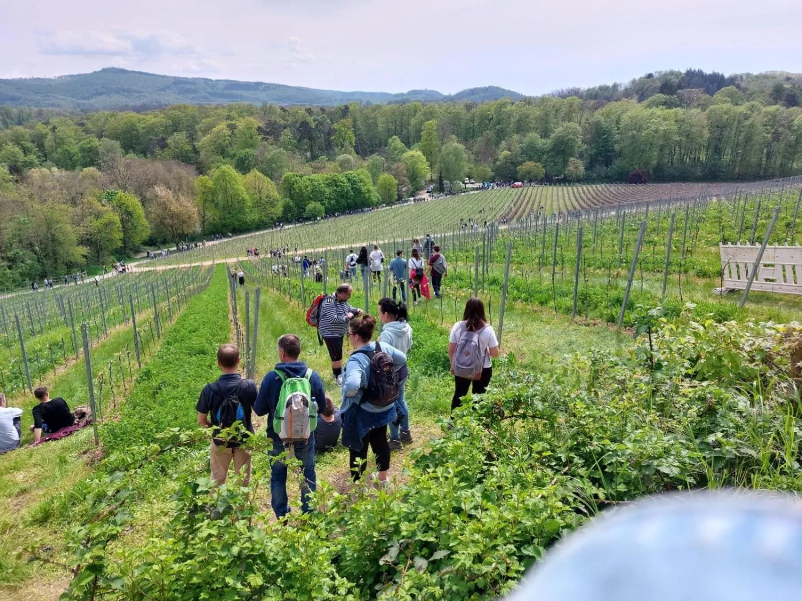 Natural landscape in Design-Apartments by Ulrike Horster