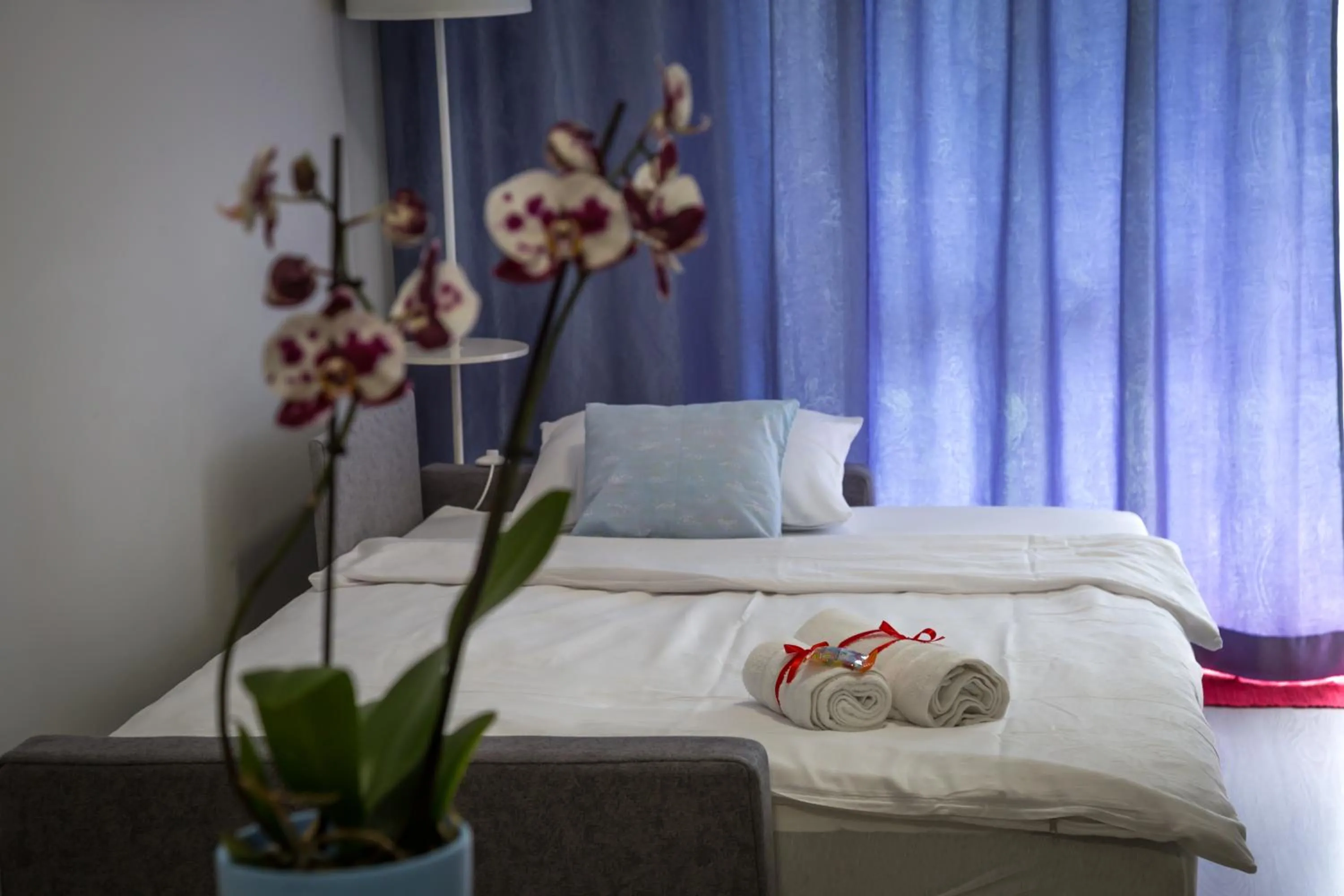 Apartment in Dream Apartment