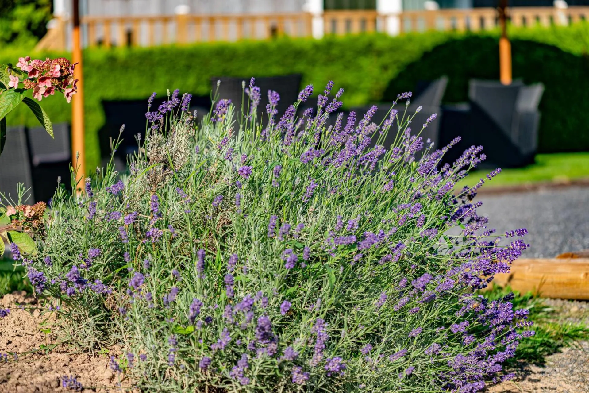 Logis Hôtel Le Menobu