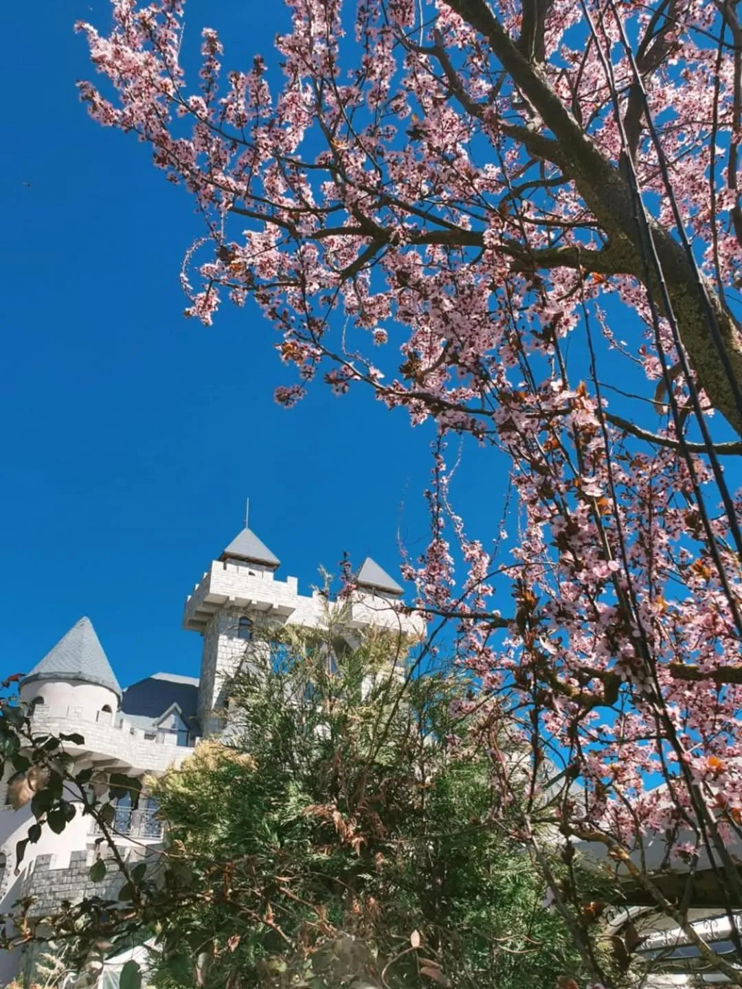 Royal Valentina Castle