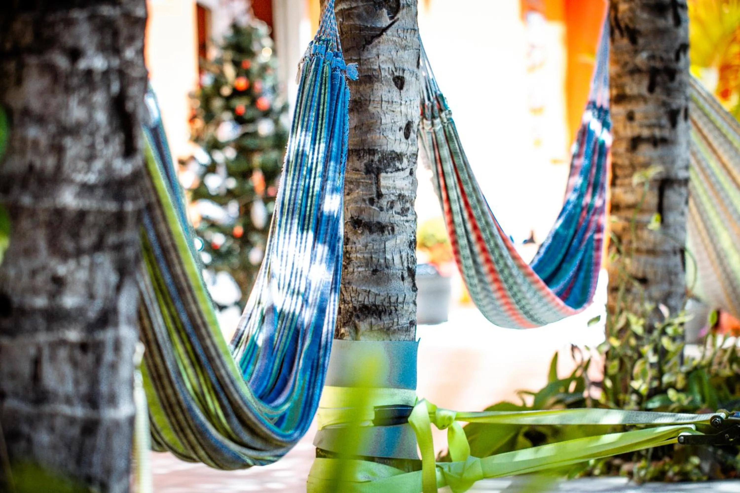 Garden in Pousada Vila Nalu