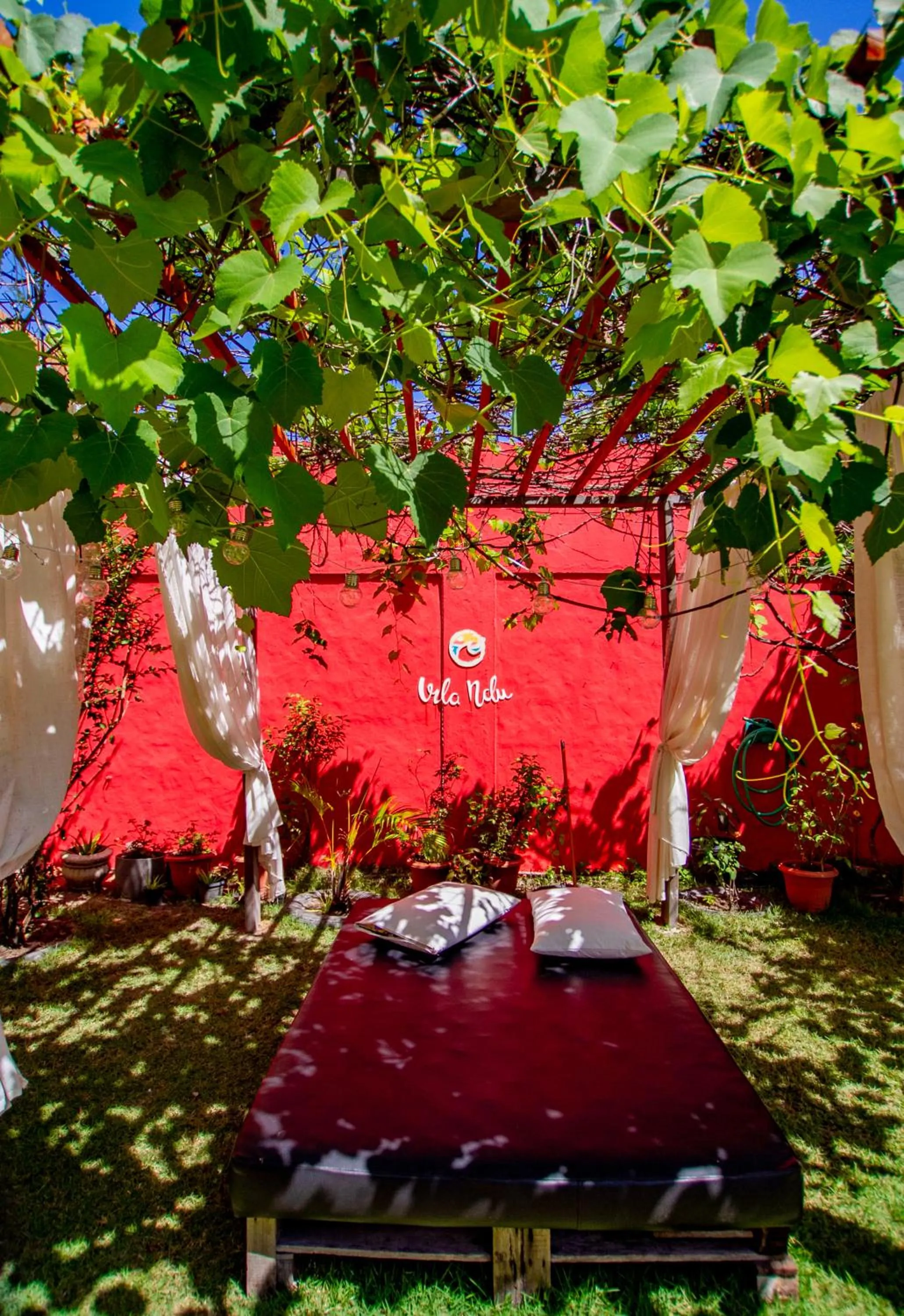 Garden in Pousada Vila Nalu