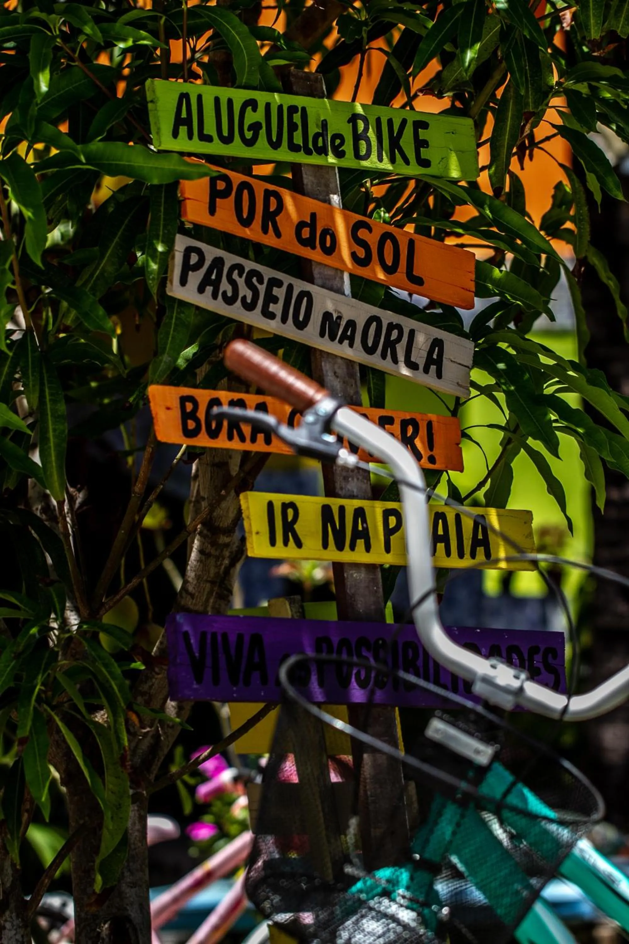 Garden view in Pousada Vila Nalu