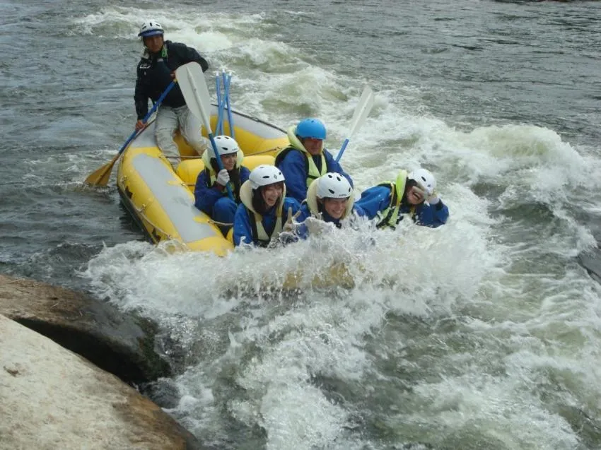 Animals in Daichan Farm Guest House
