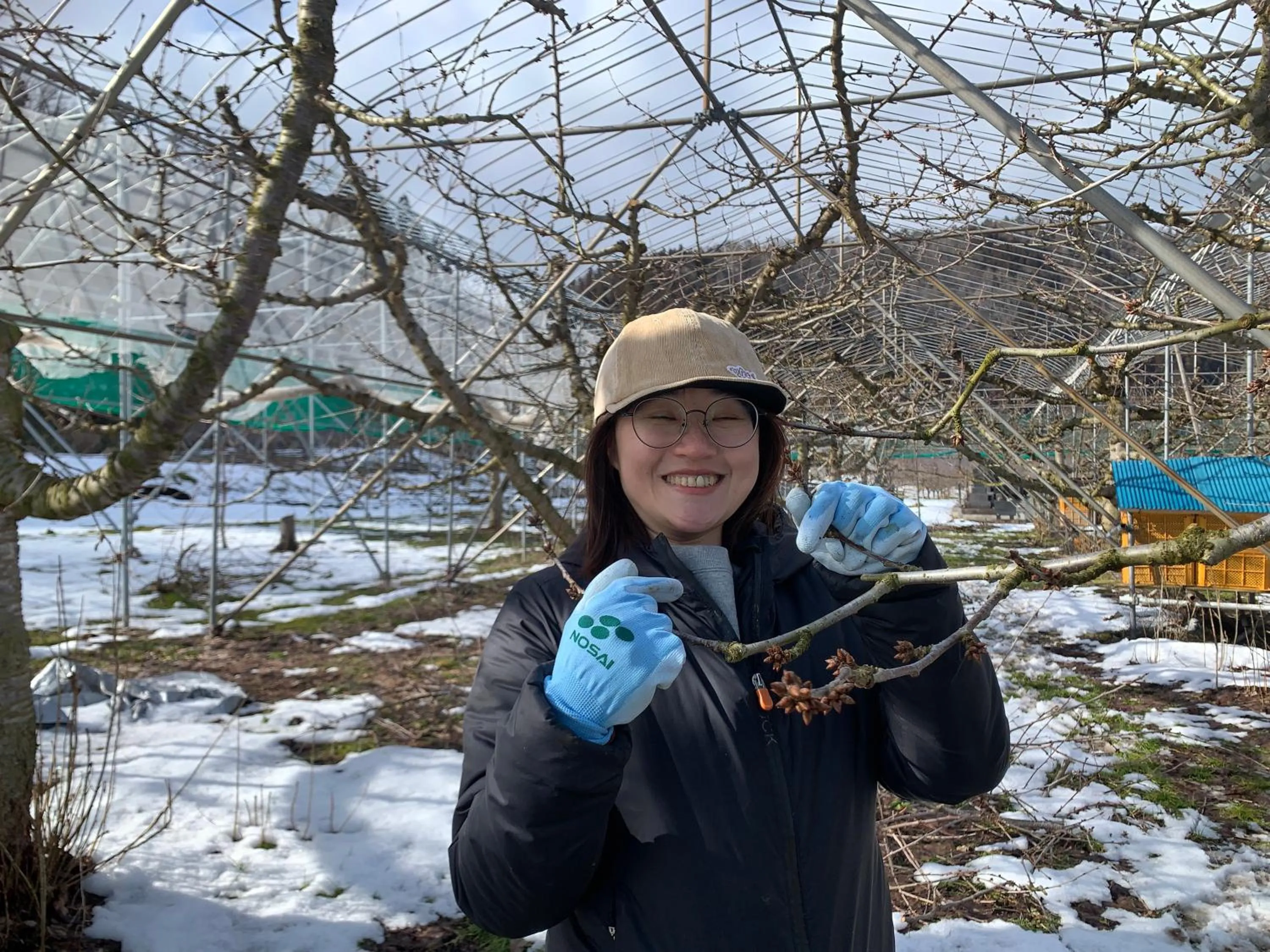 Daichan Farm Guest House