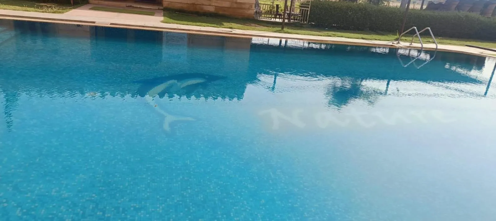 Swimming pool in Moonlight Nature Resort & Swimming Pool