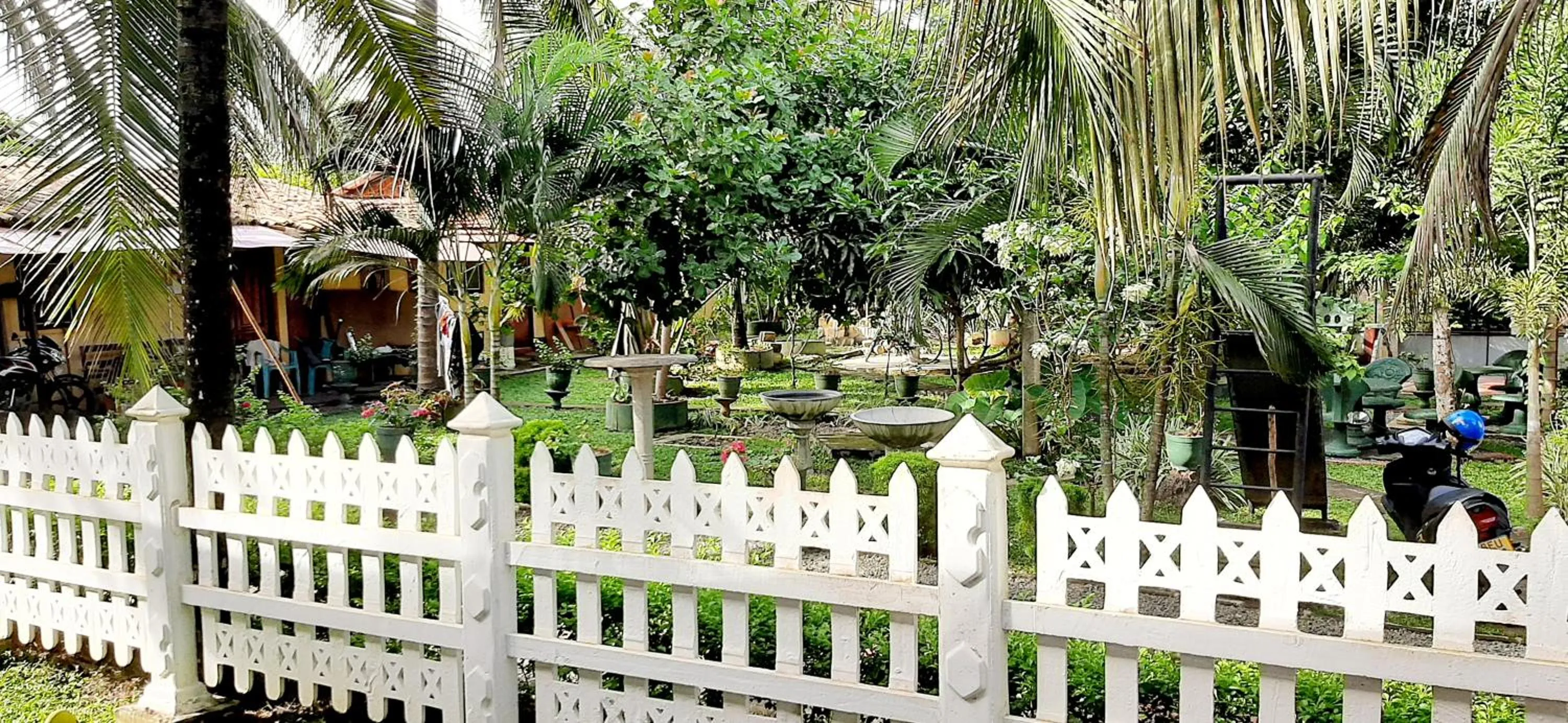 Garden in Hiriketiya Cinnamon Garden