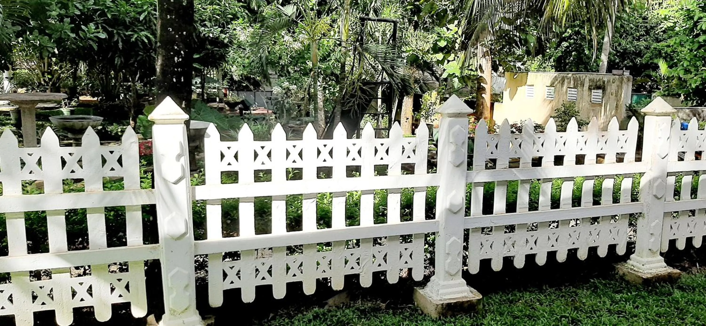 Garden in Hiriketiya Cinnamon Garden