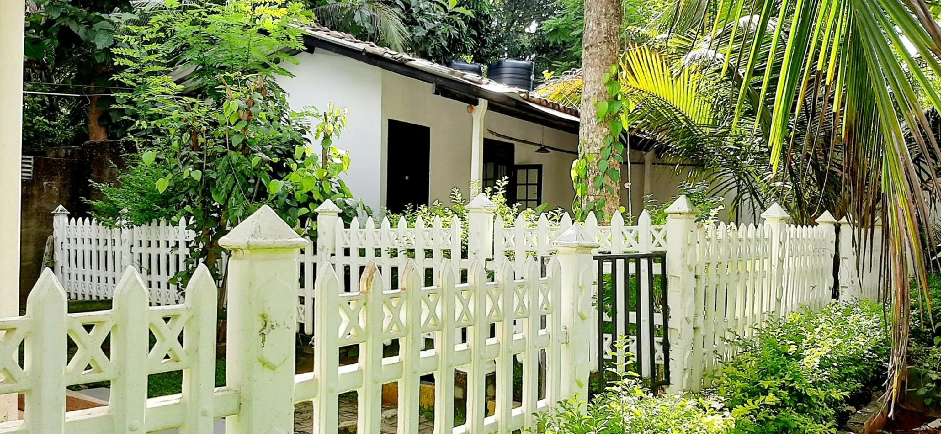 Garden in Hiriketiya Cinnamon Garden