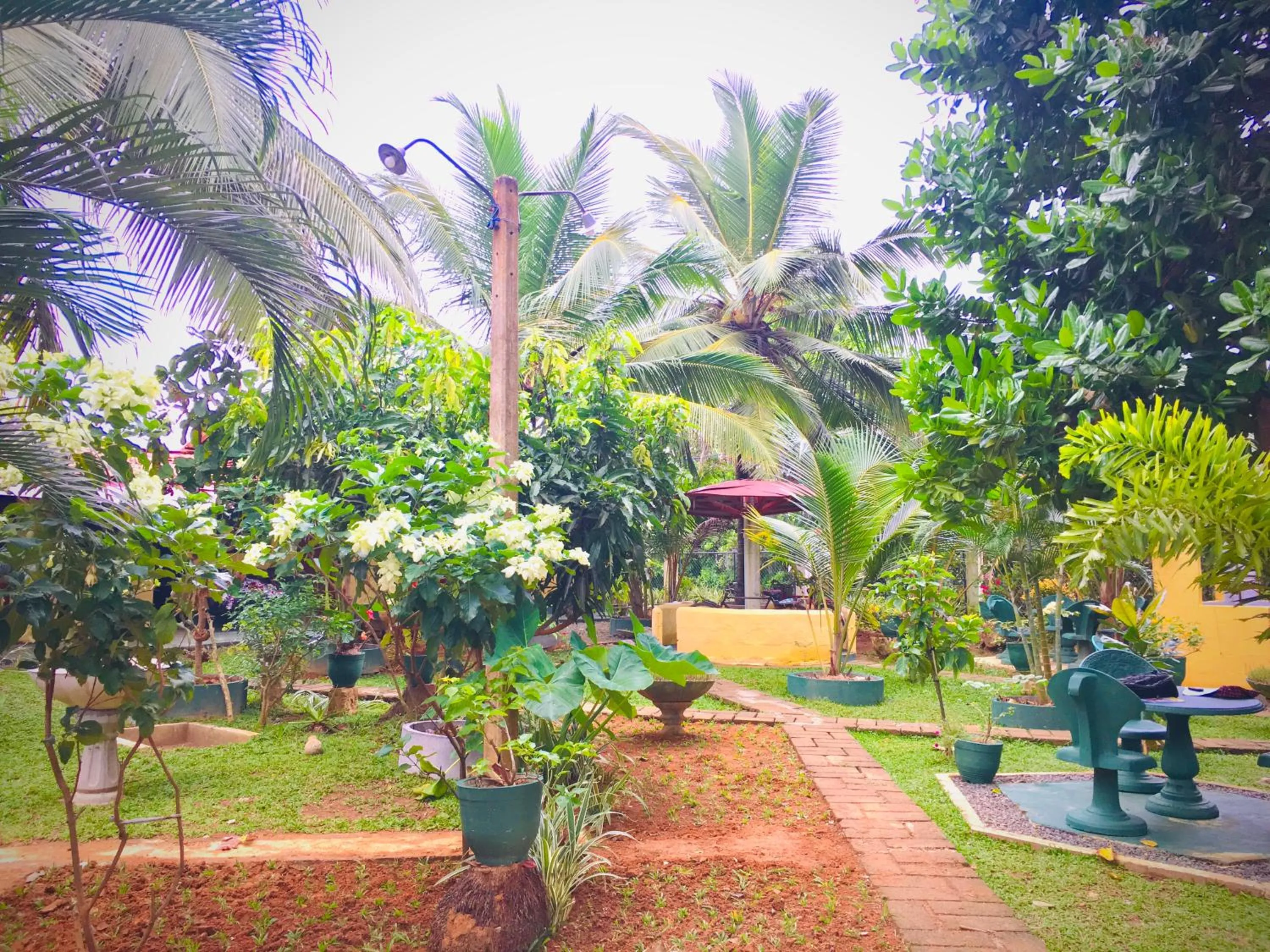 Hiriketiya Cinnamon Garden