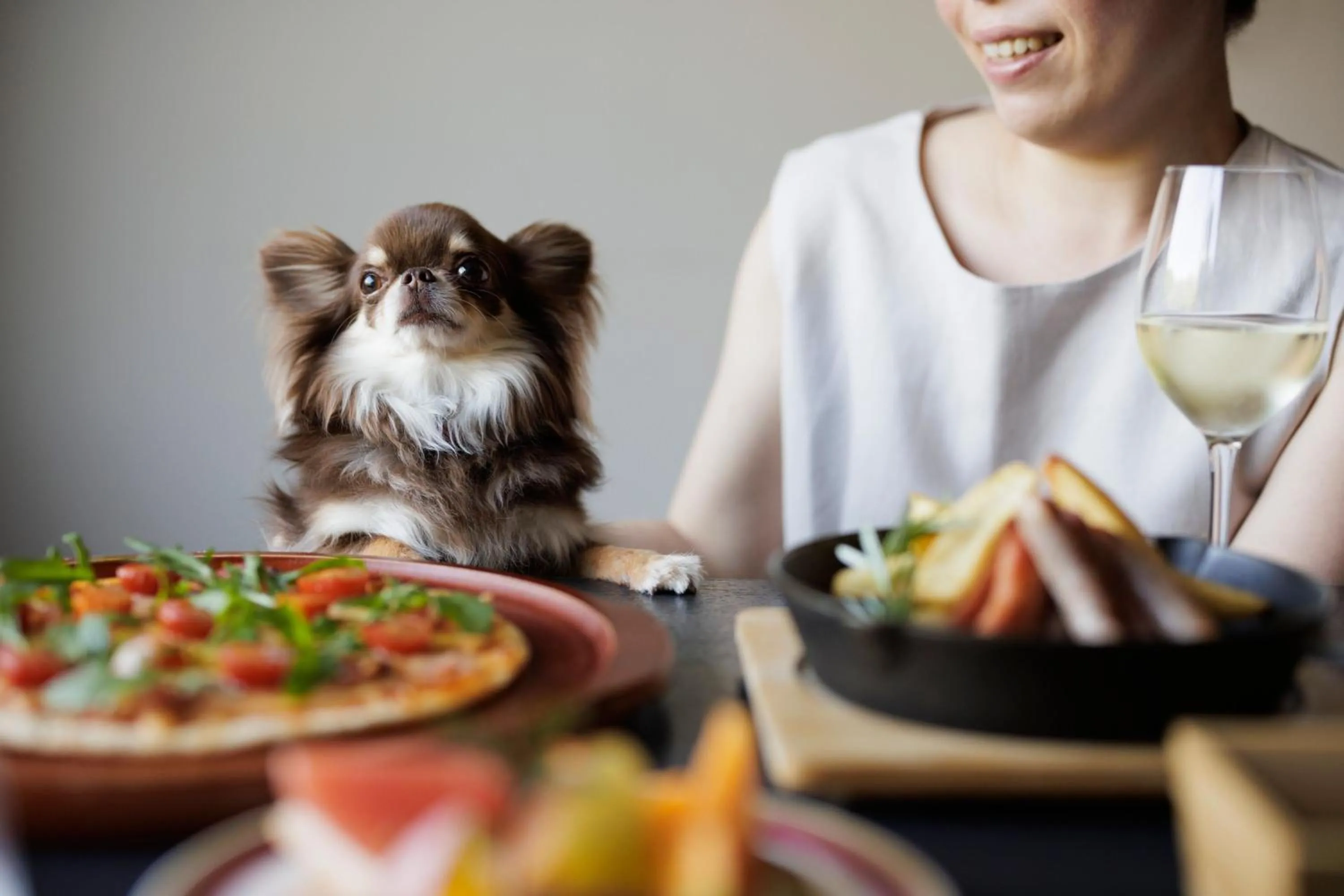 Photo of the whole room in Izu Marriott Hotel Shuzenji