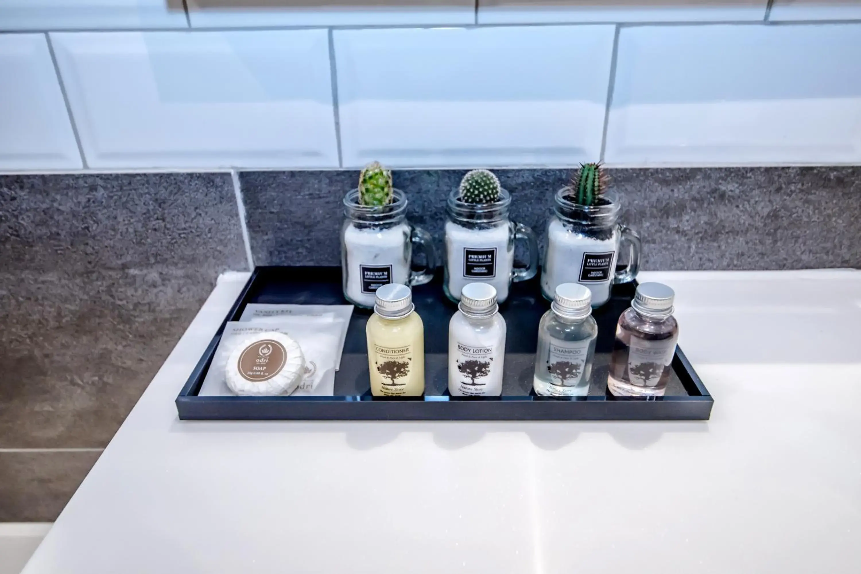 Shower in Odri Inn Shower in Odri Inn