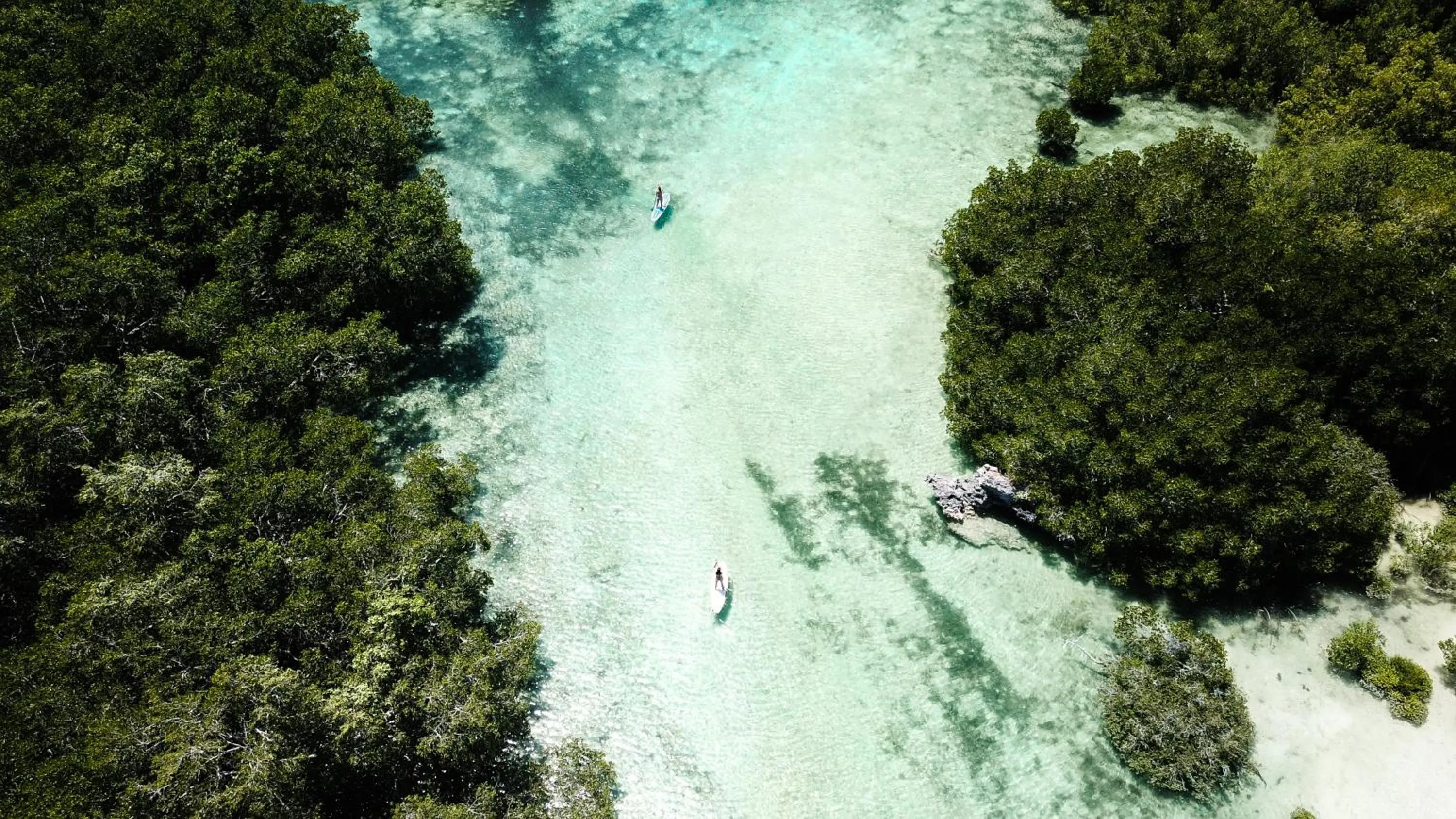 Natural landscape in Utopia Rote Lodge