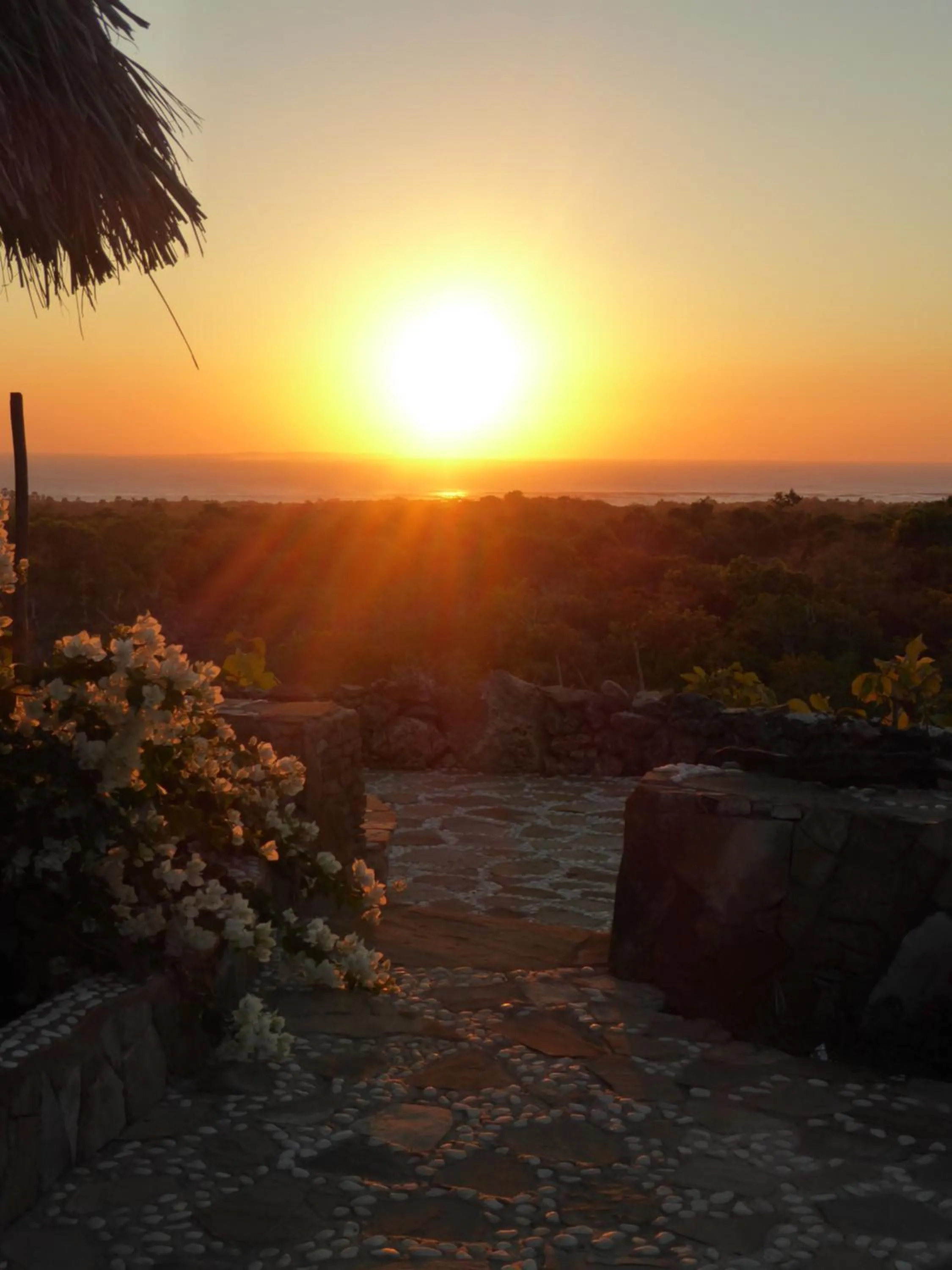 View (from property/room) in Utopia Rote Lodge