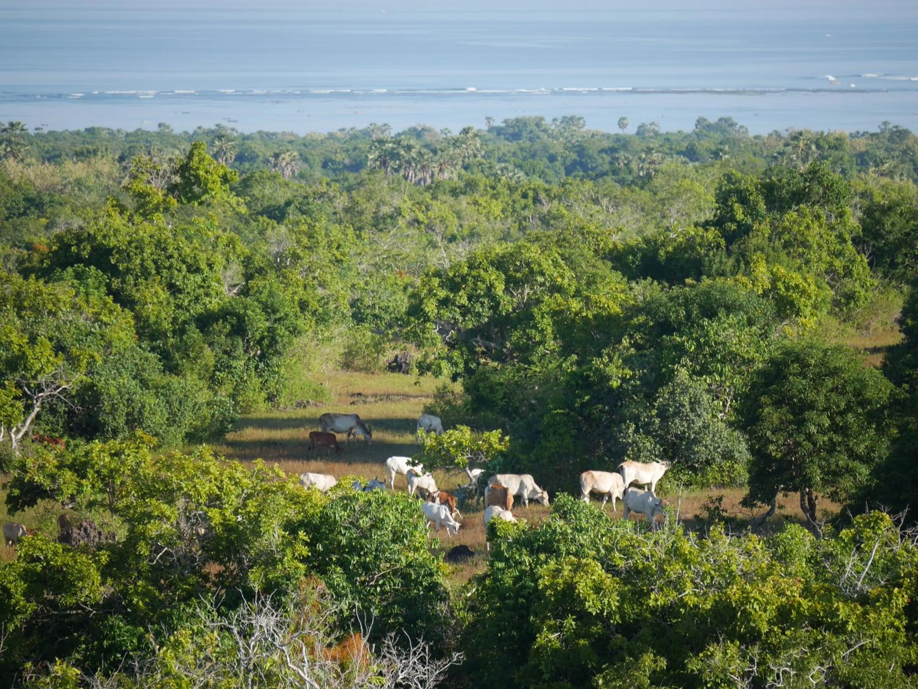 Spring in Utopia Rote Lodge