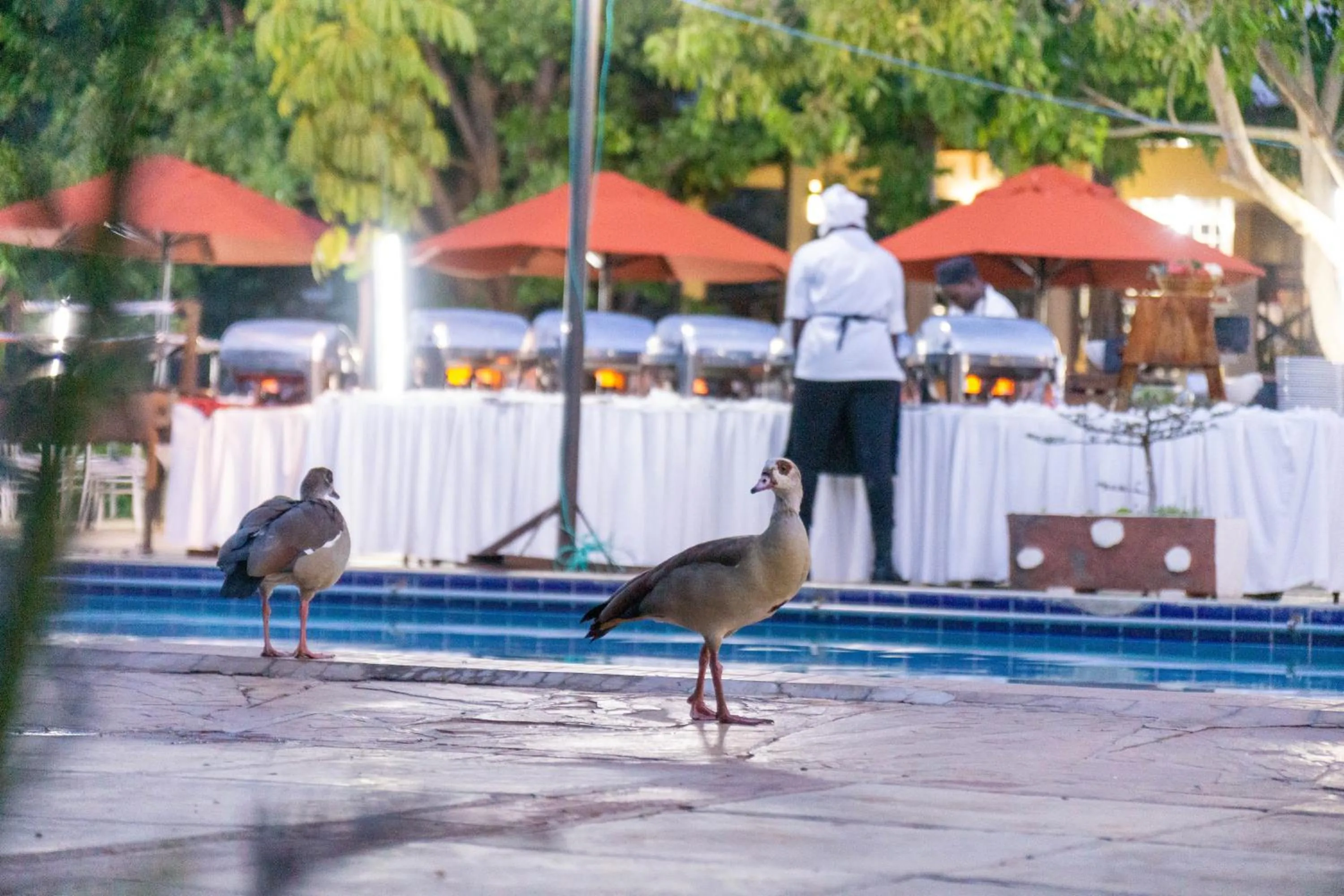 People in Lukenya Getaway
