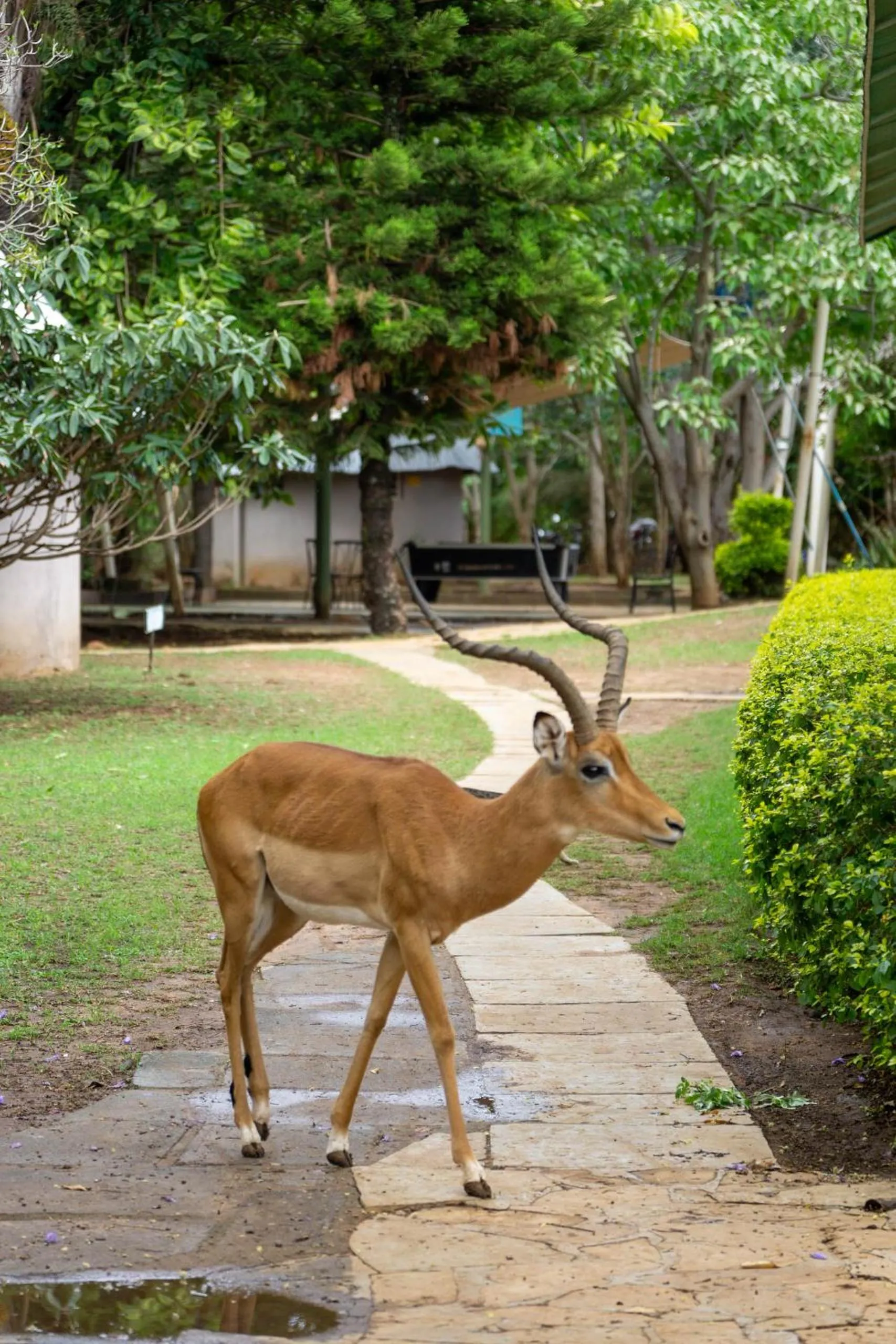 Day in Lukenya Getaway