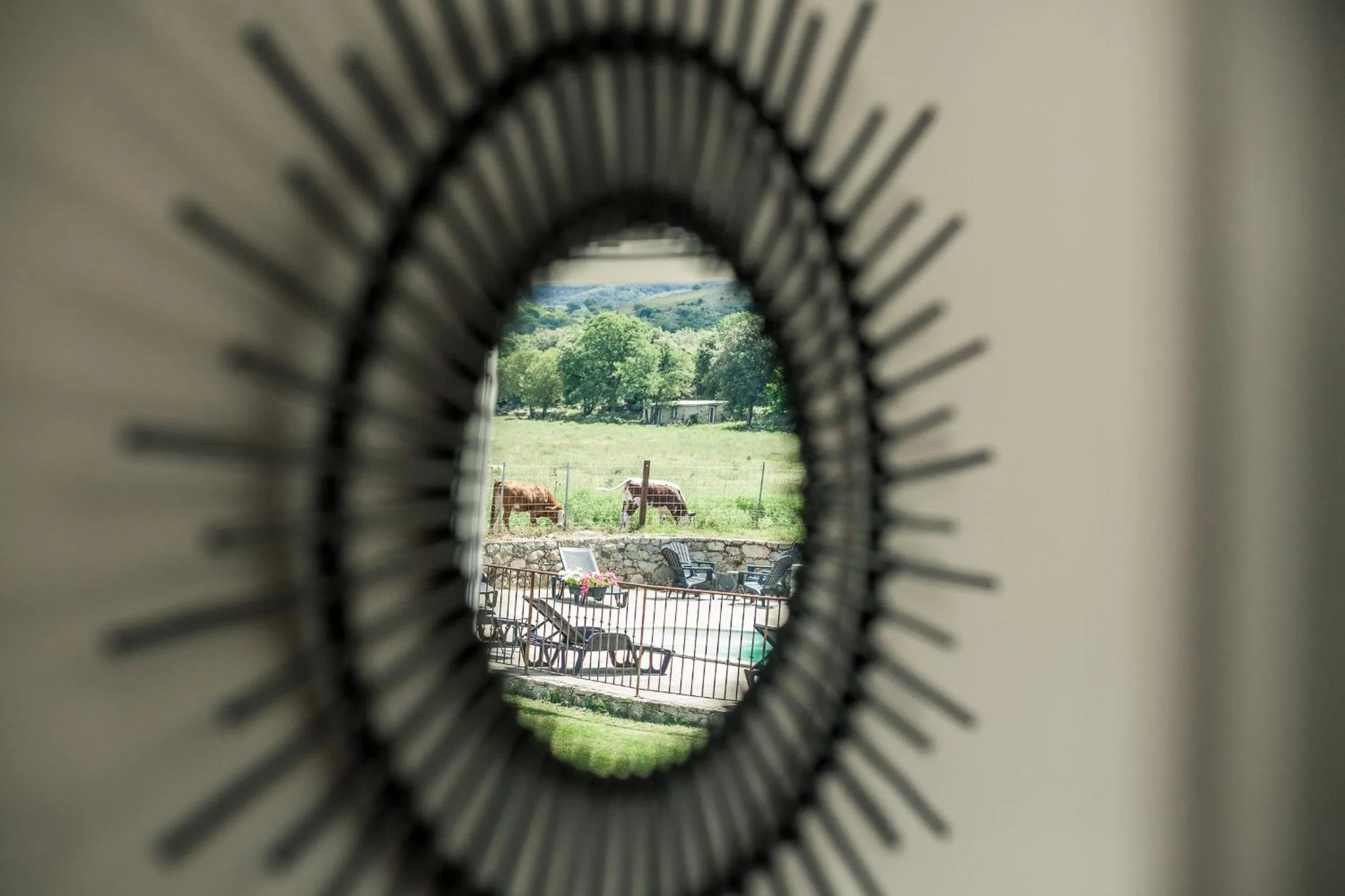 View (from property/room) in B&B A Chjusellina