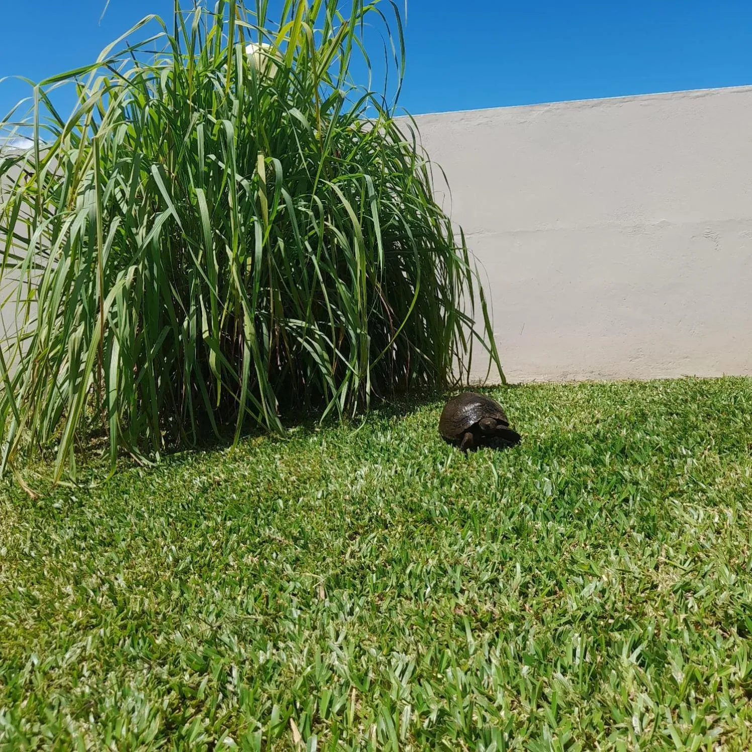 Day in Maison L'Horizon