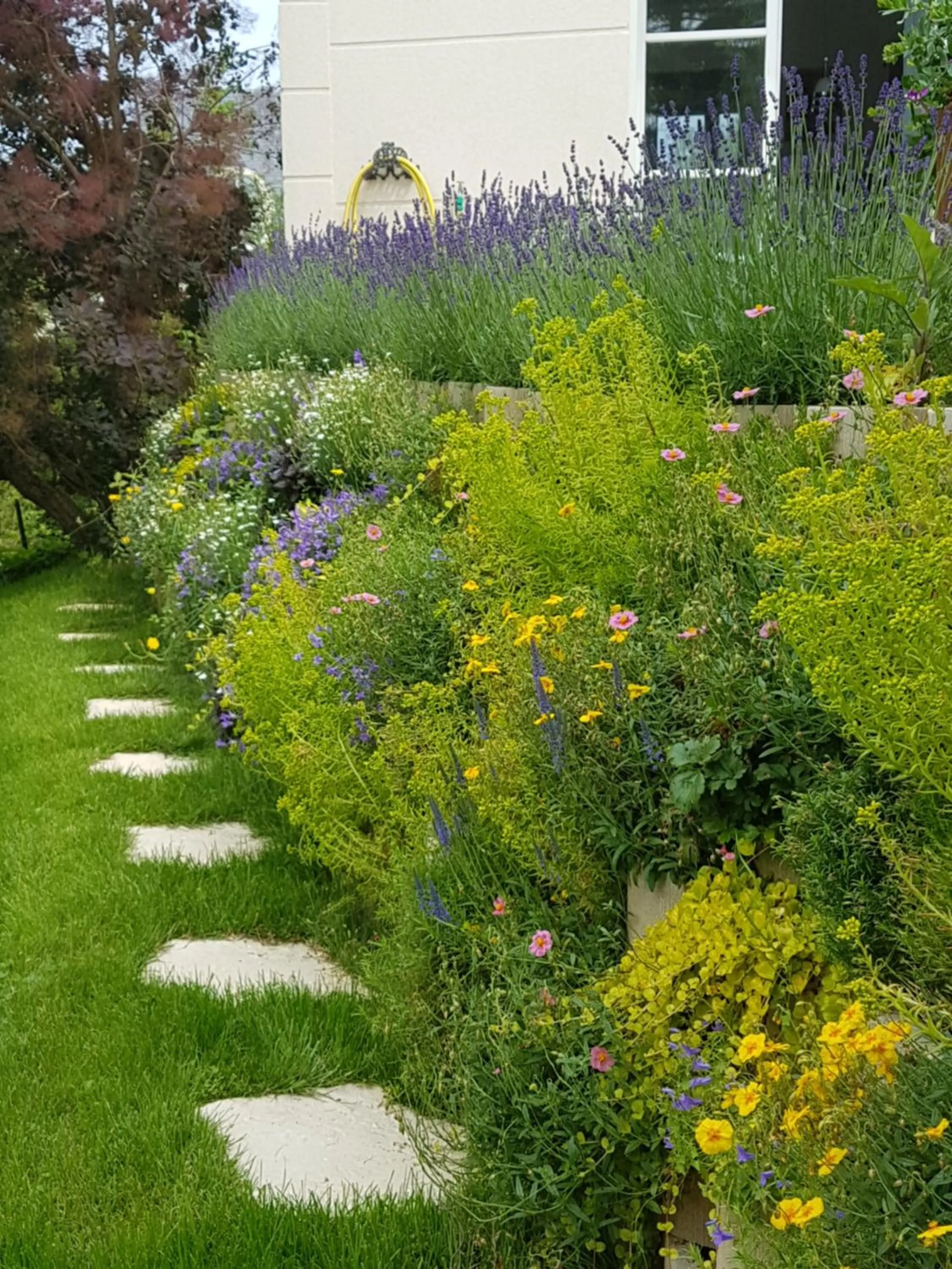 Garden in La Clémencerie Chambre d'hôtes