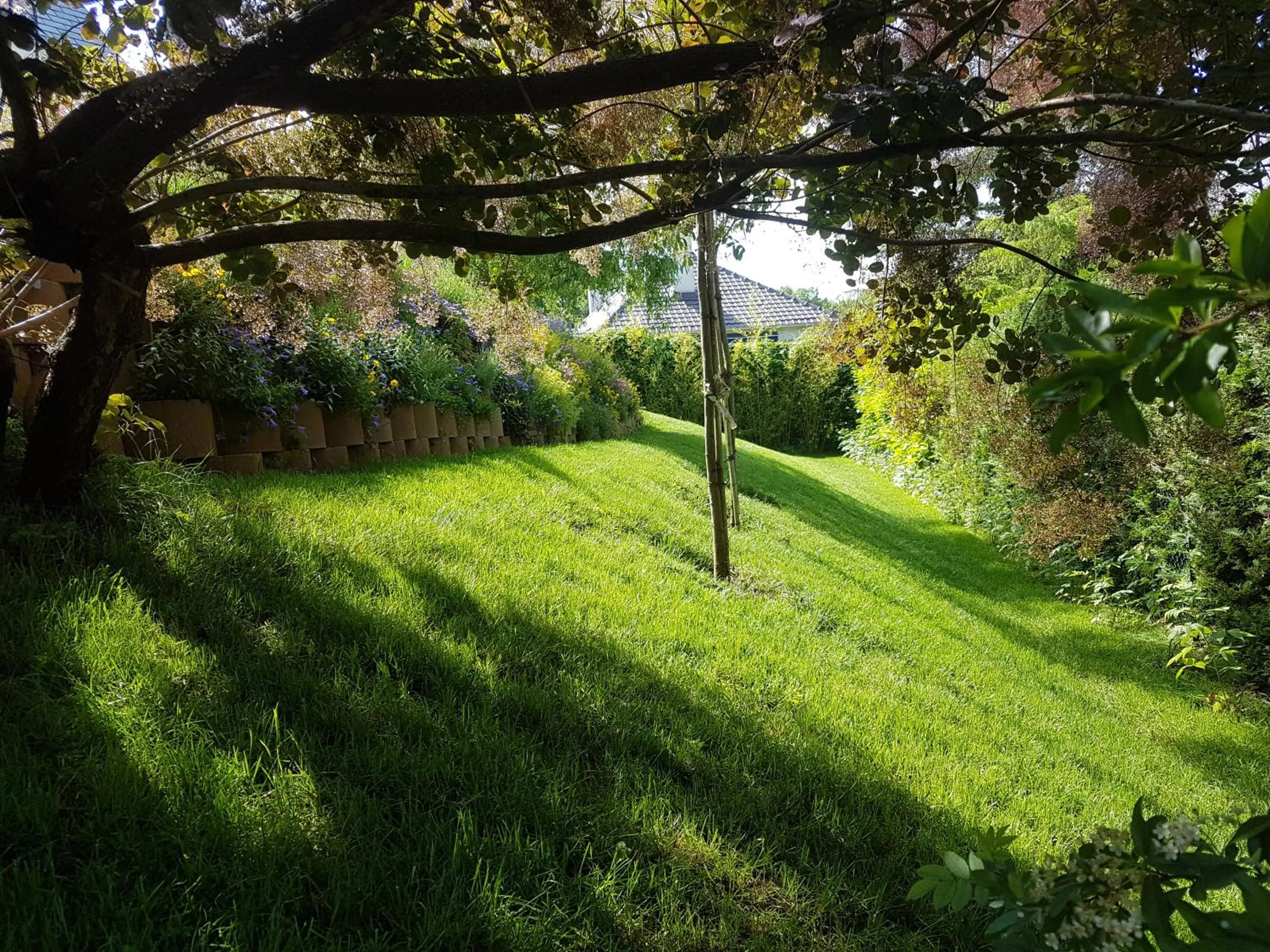 Garden in La Clémencerie Chambre d'hôtes