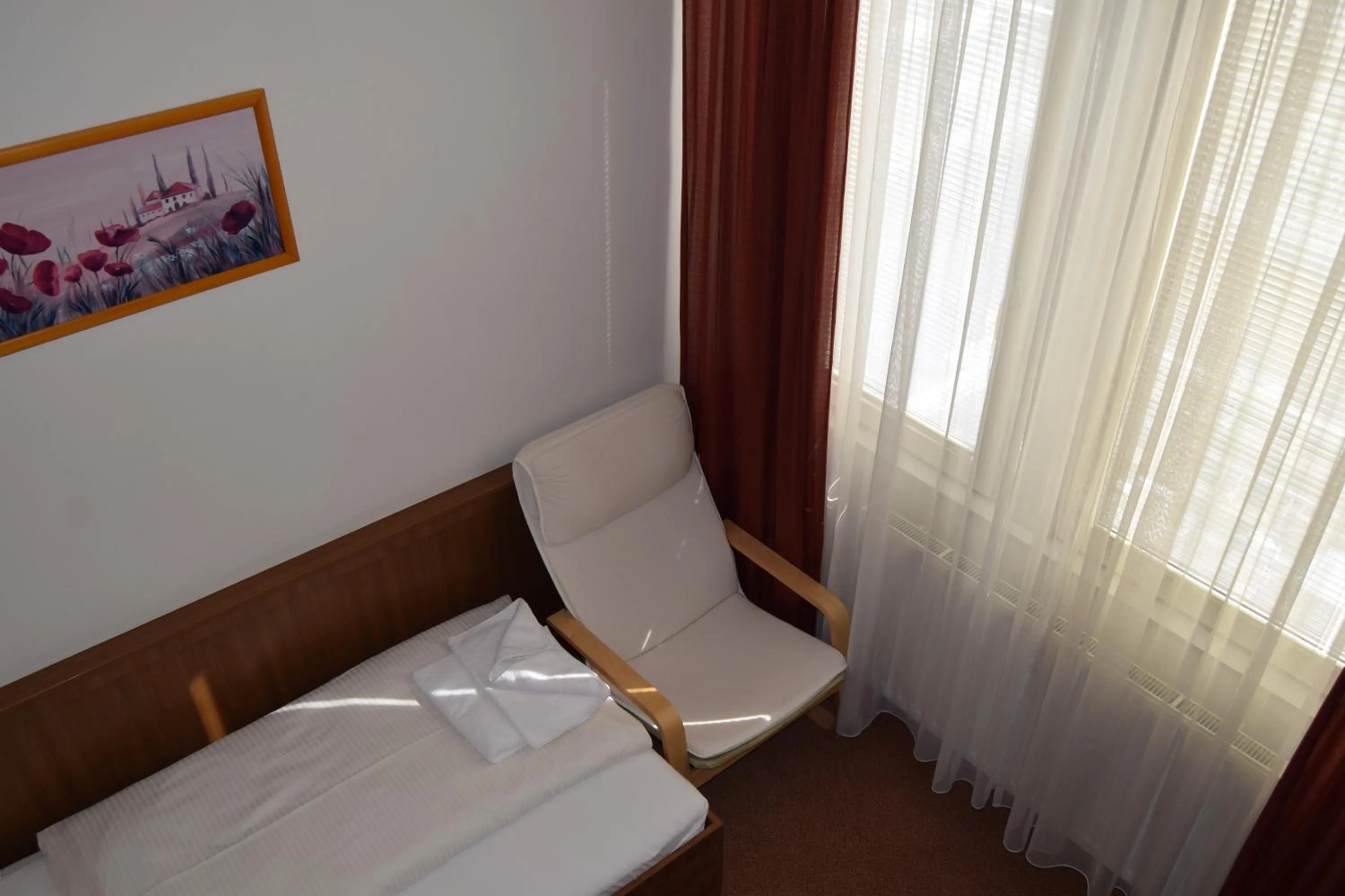 Single Room - single occupancy in Hotel Vsacan
