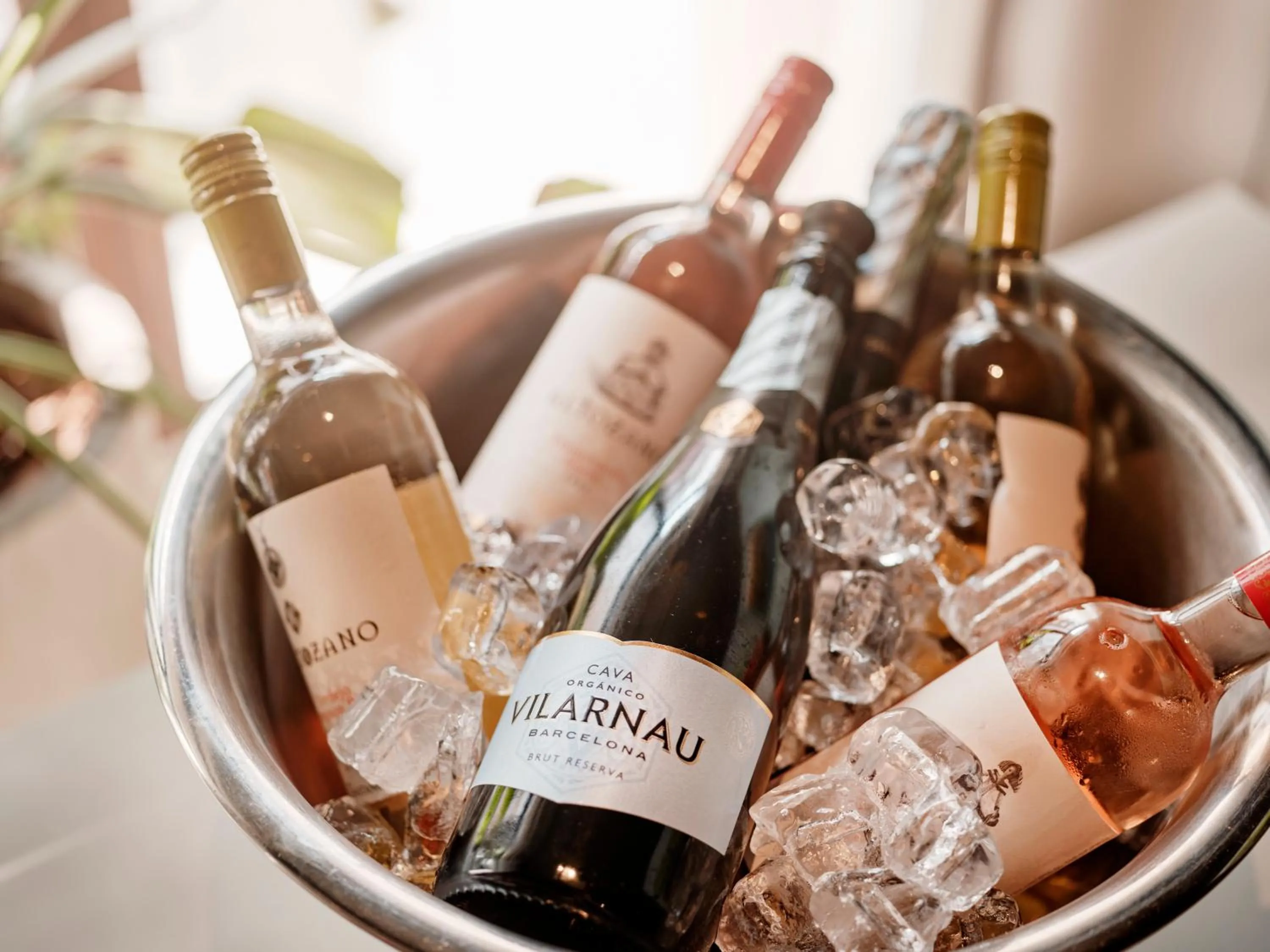 Drinks in BANKS Antwerp