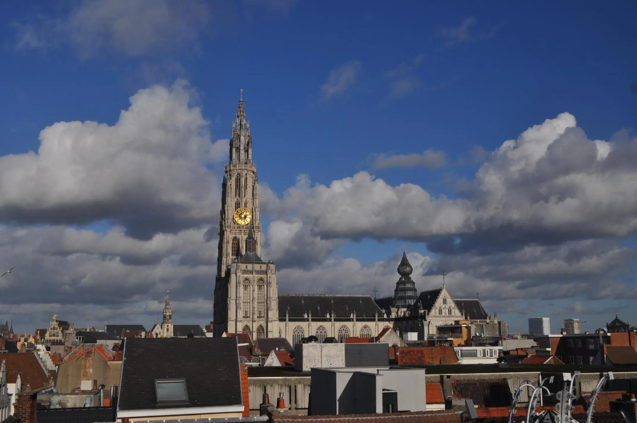 City view in BANKS Antwerp
