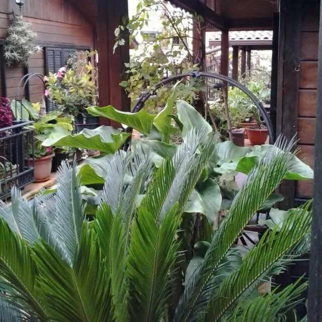 Cabañas Valle Verde