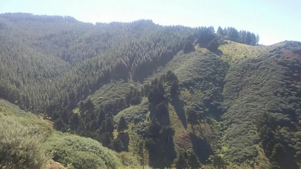 Cabañas Valle Verde