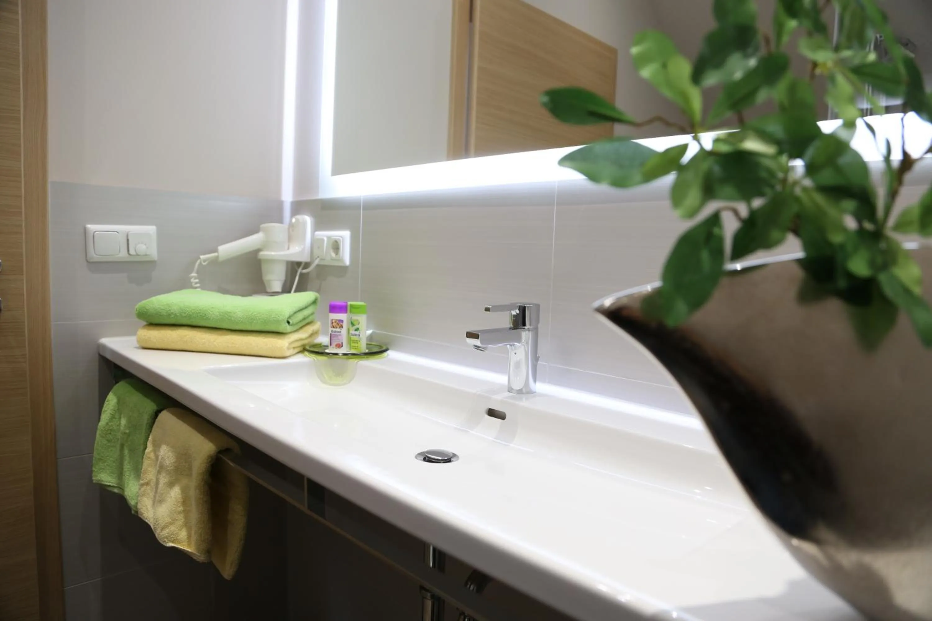 Shower in Wasmayr Hof