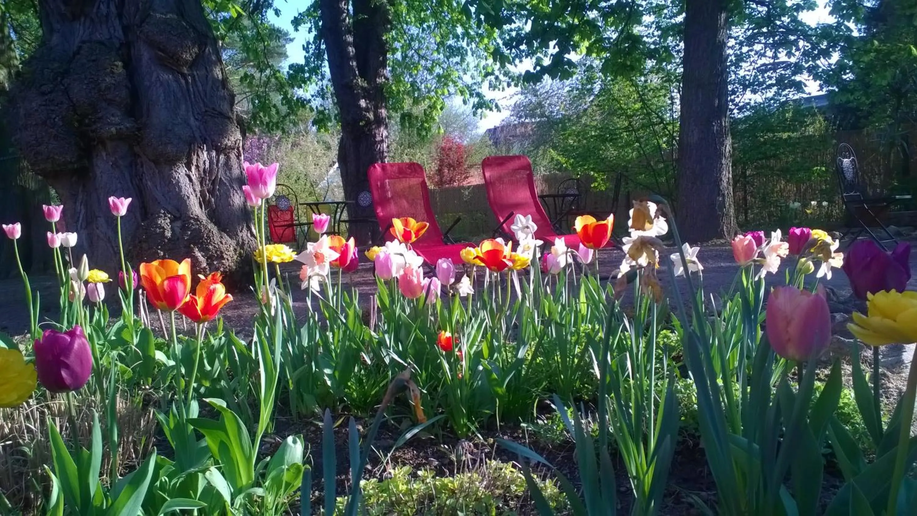 Garden in Bio Hotel Kipperquelle
