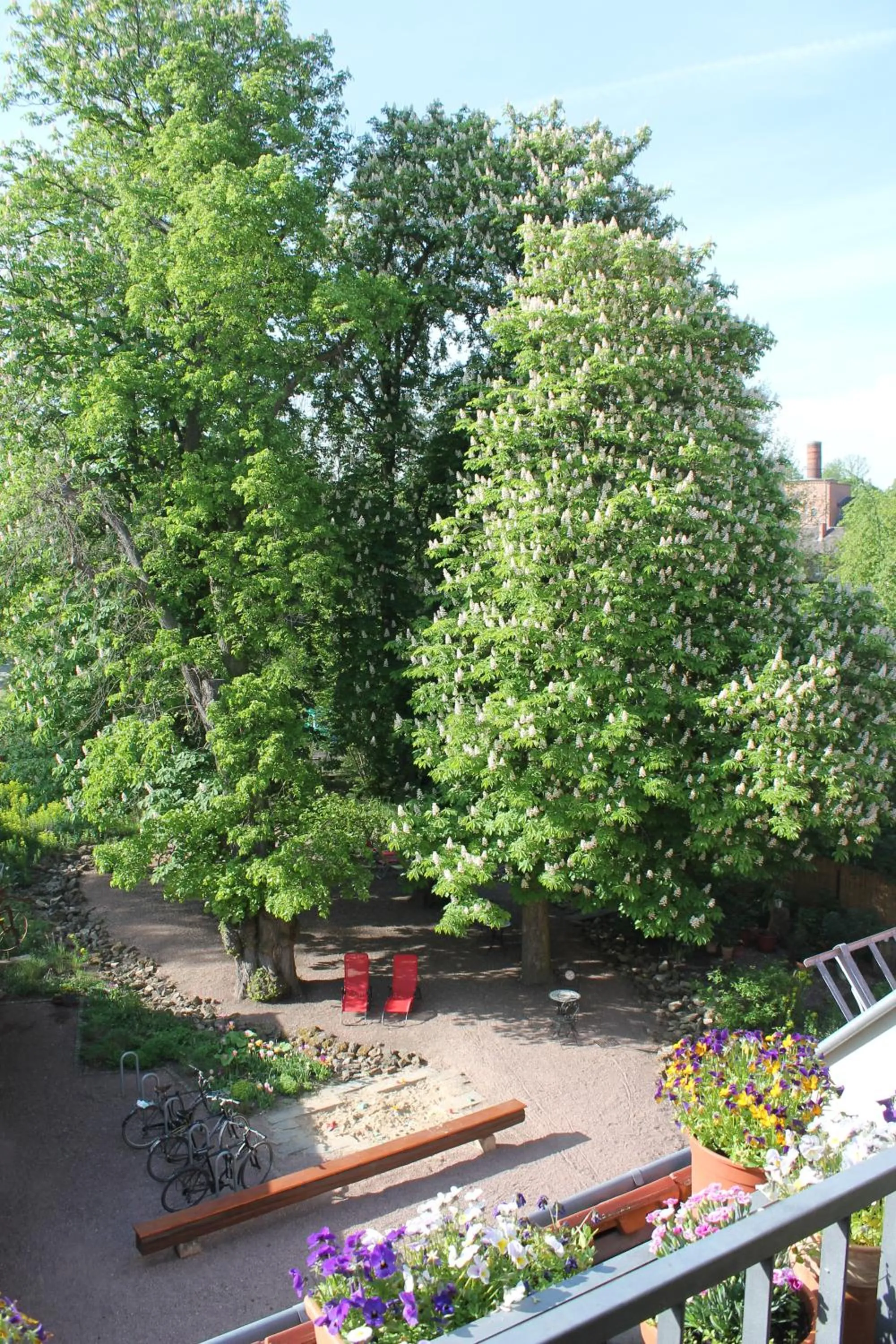 Garden view in Bio Hotel Kipperquelle